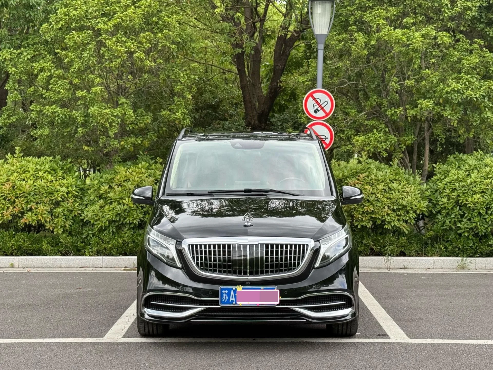 Mercedes-Benz V-Class 2018 V 260 Navigation Edition, China V Emission Standard