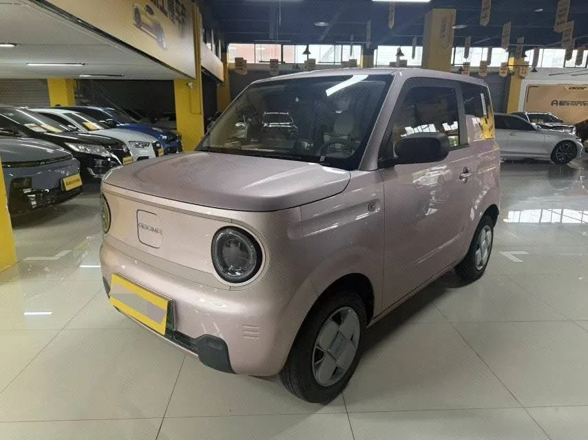 Panda 2024 Panda Mini 200km Endurance Bear