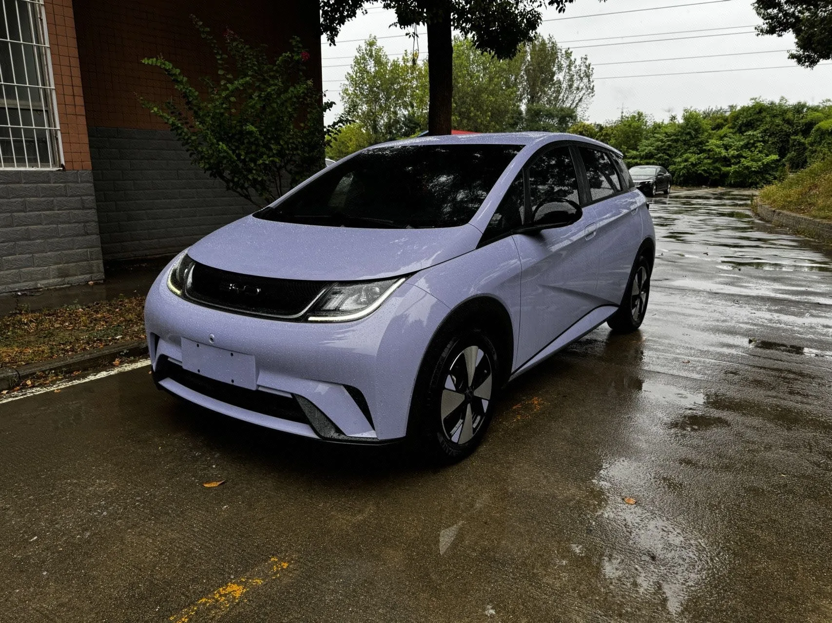 BYD 2023 Dolphin 420km Fashion Edition Automatic