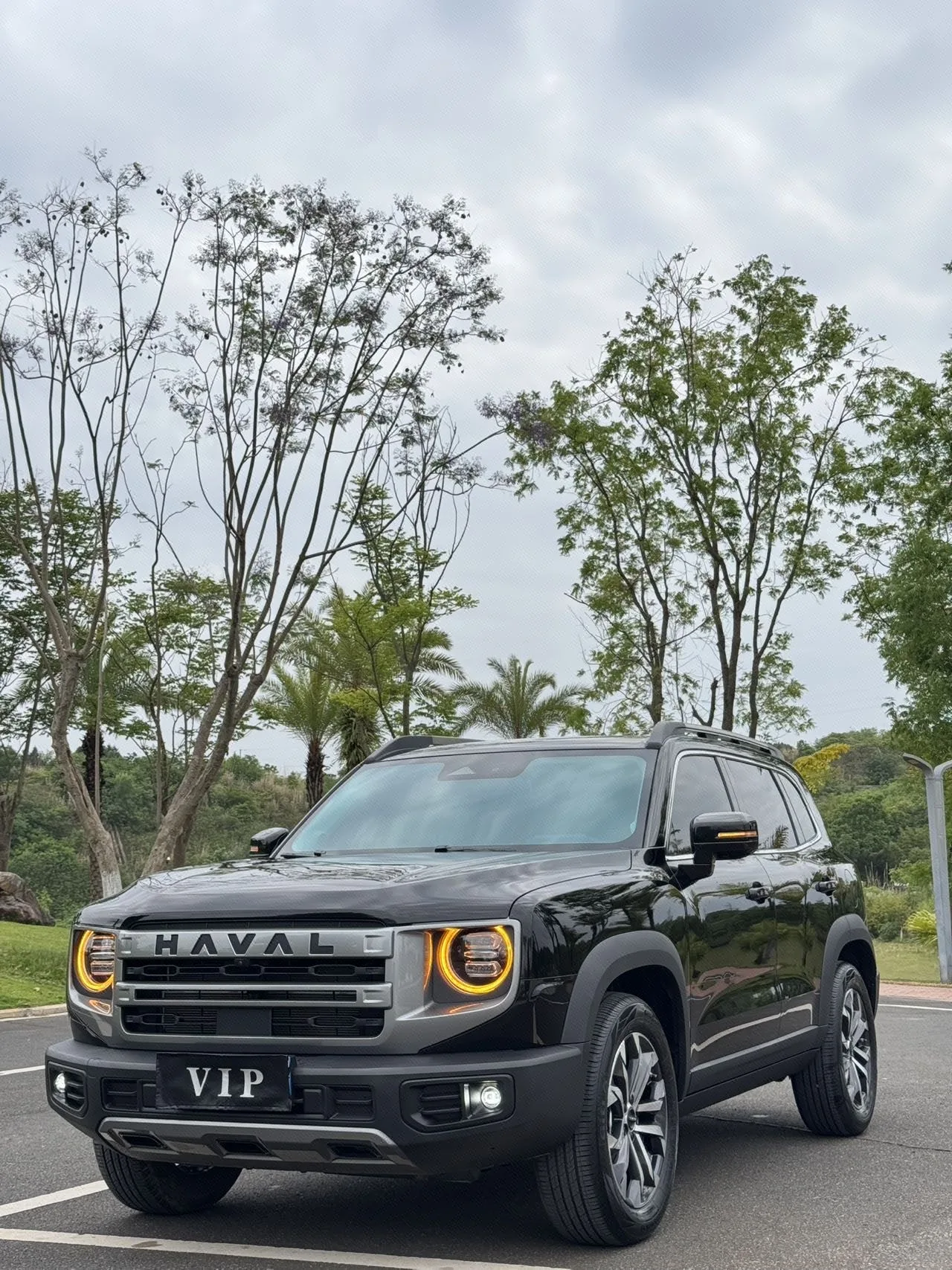 Haval Big Dog 2022 1.5T DCT 2WD Border Collie Edition