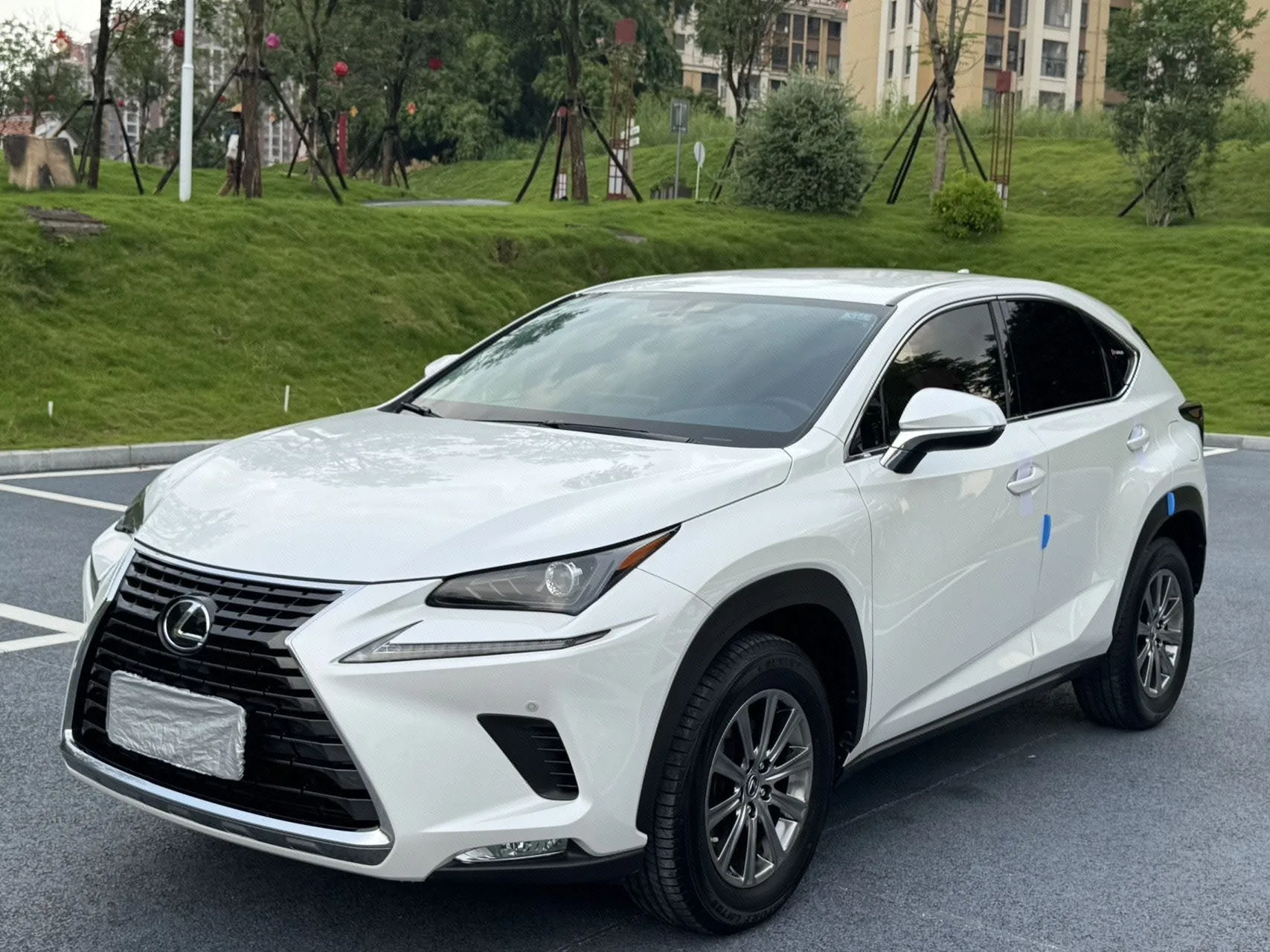 2020 Lexus NX 200 FWD "Fengxing" Edition, China V Emission Standard