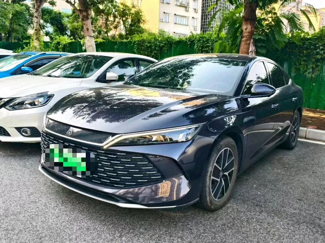 Qin L 2024 DM-i 80KM Super Edition