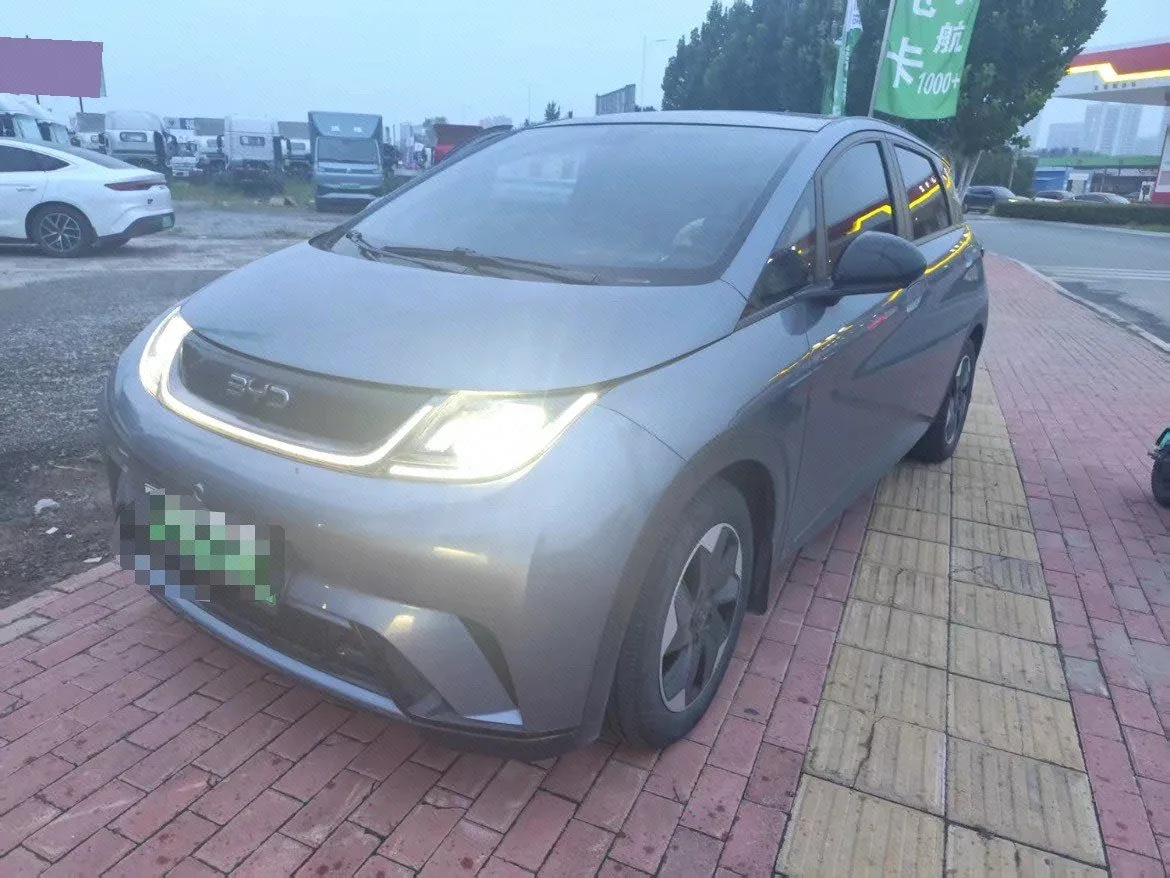 BYD 2025 Dolphin 420km Fashion Edition Automatic
