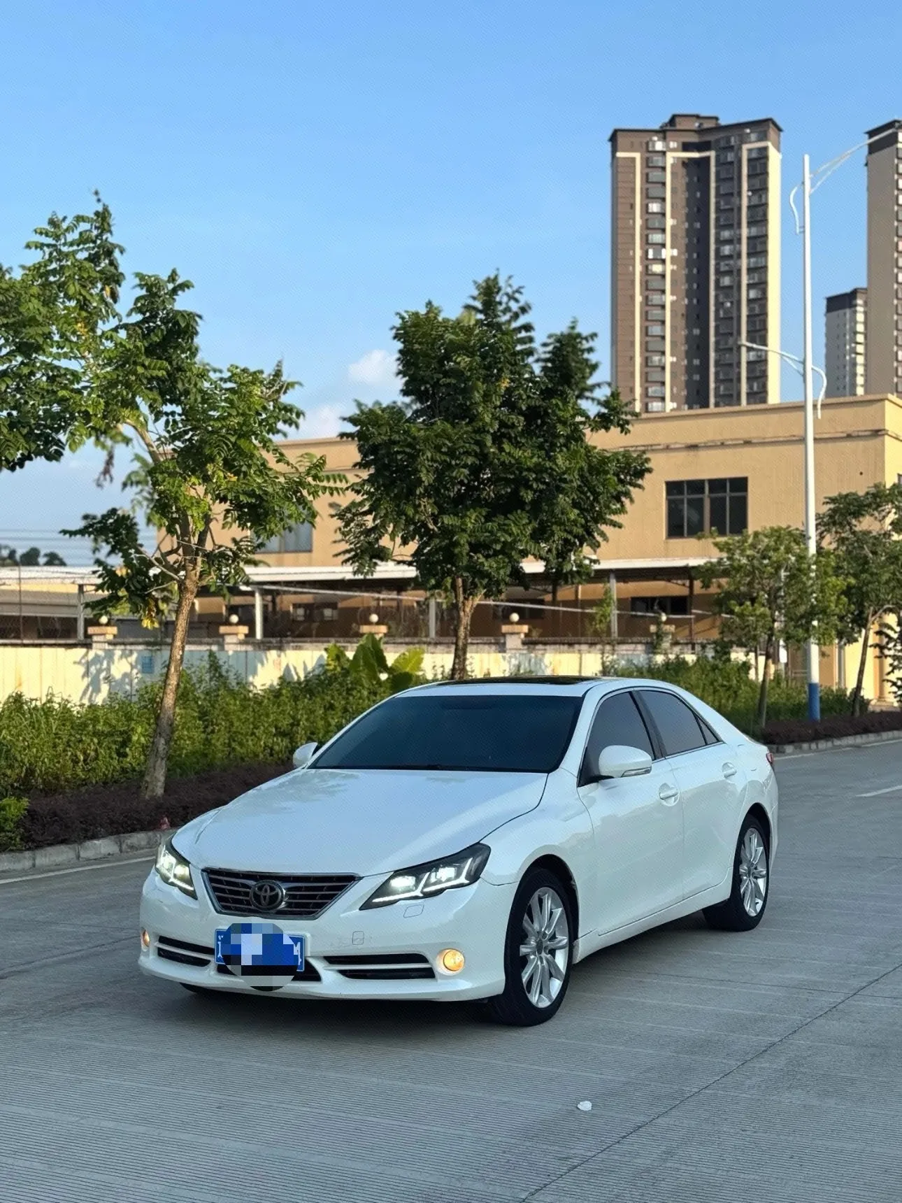 Reiz 2010 2.5V Fengdu Elite Edition