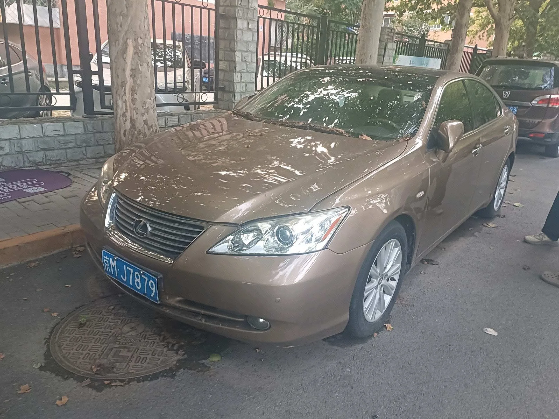 Lexus ES 2006 350