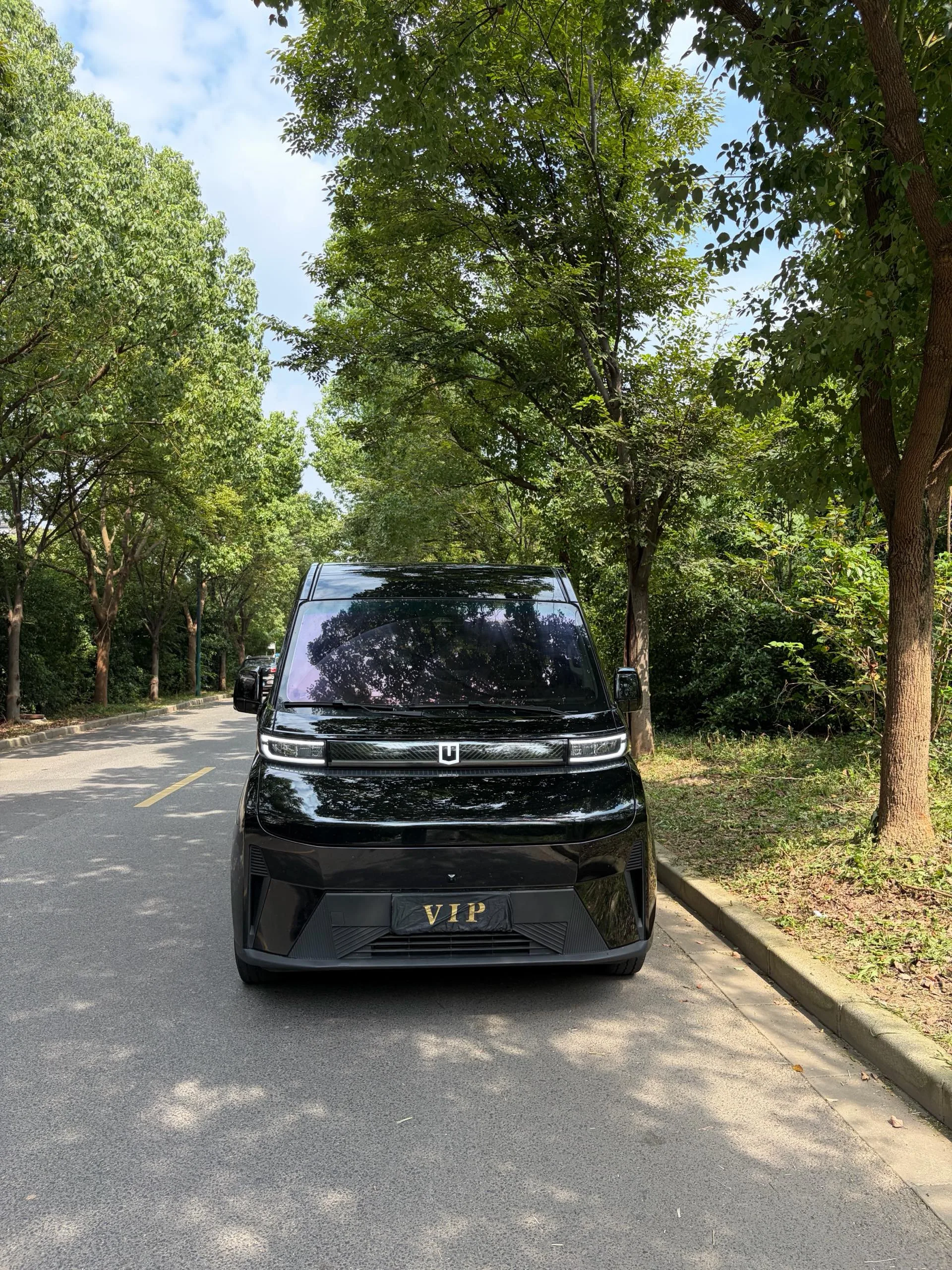 Remote 2025 Super VAN Yuecheng Edition, 9-Seater, Mid-Axle, Mid-Roof, All-Electric Light Commercial Vehicle, CATL 83 kWh, Automatic Transmission