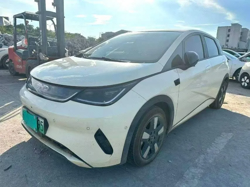 Dolphin 2021 405km Fashion Edition