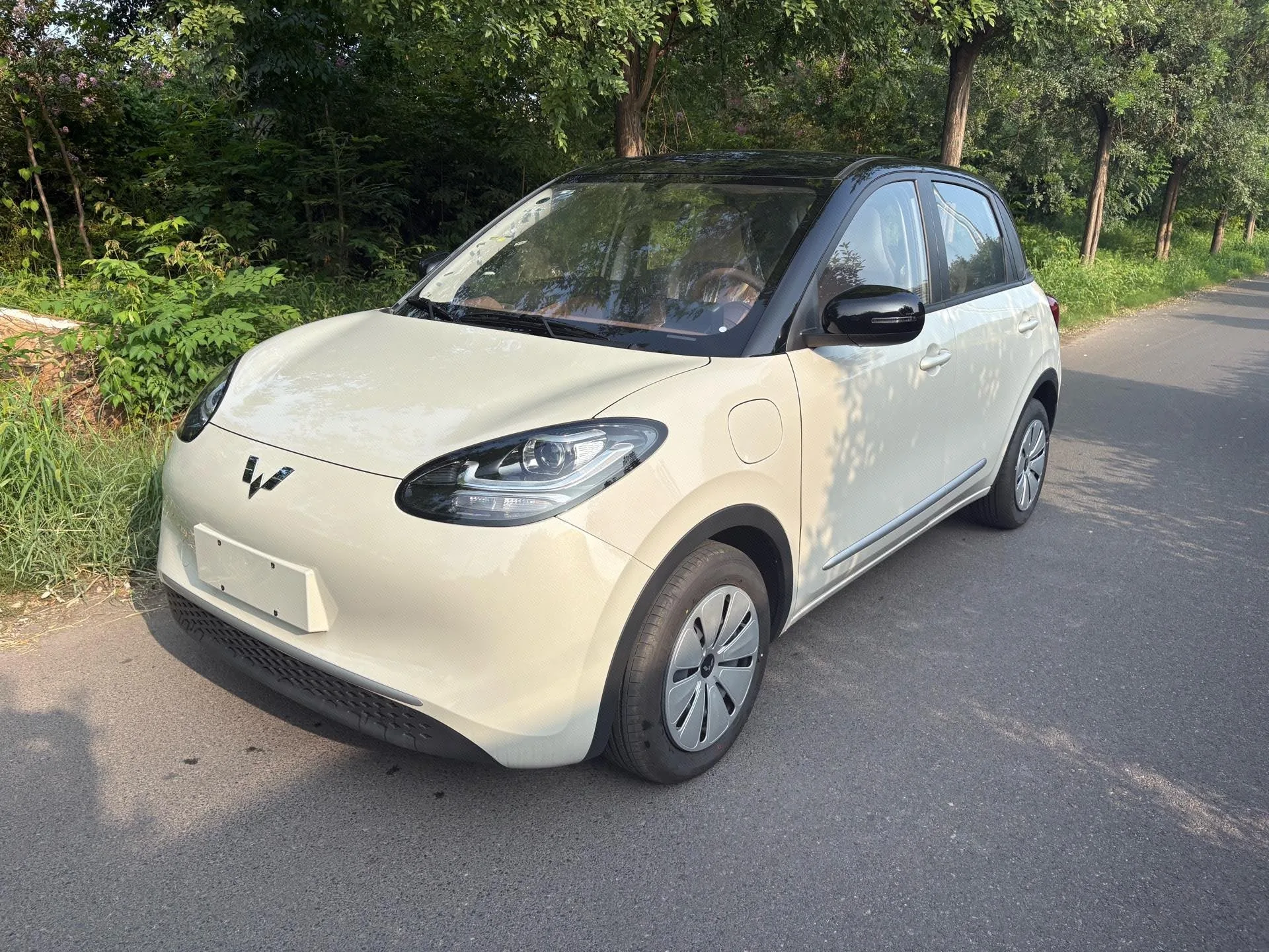 Wuling Bingo 2024 Model, 203 km Range, Light Enjoy Edition