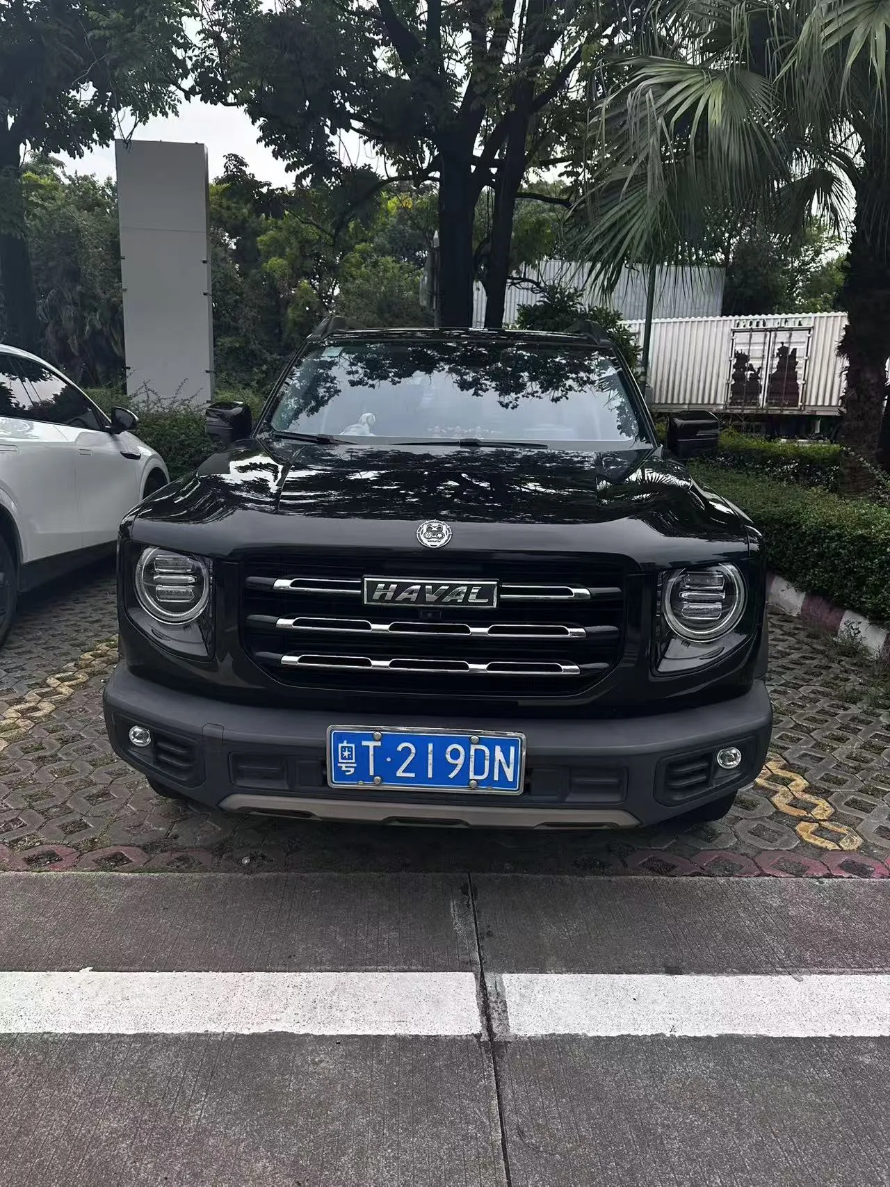 Haval Big Dog 2021 1.5T DCT 2WD Border Collie - Lucky Edition
