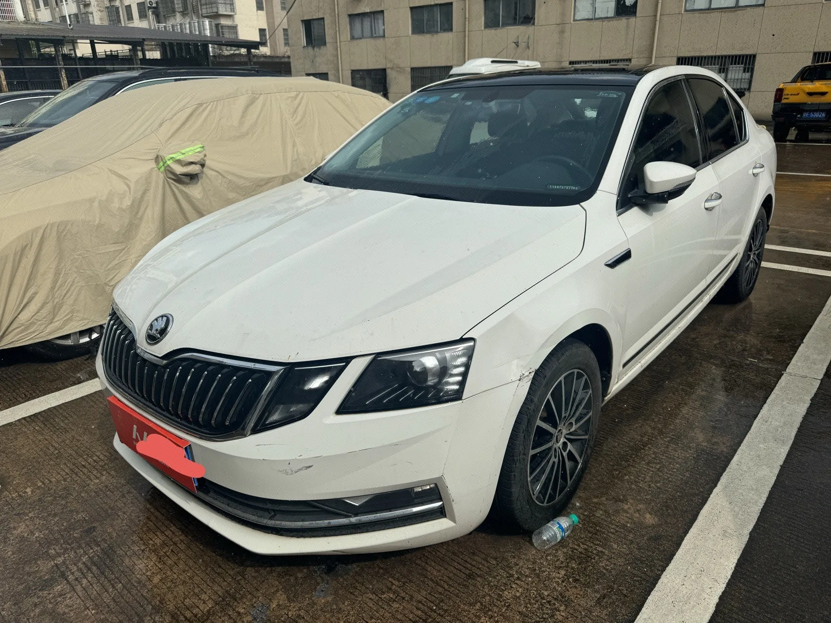 2019 Skoda Octavia TSI230 DSG Comfort Edition