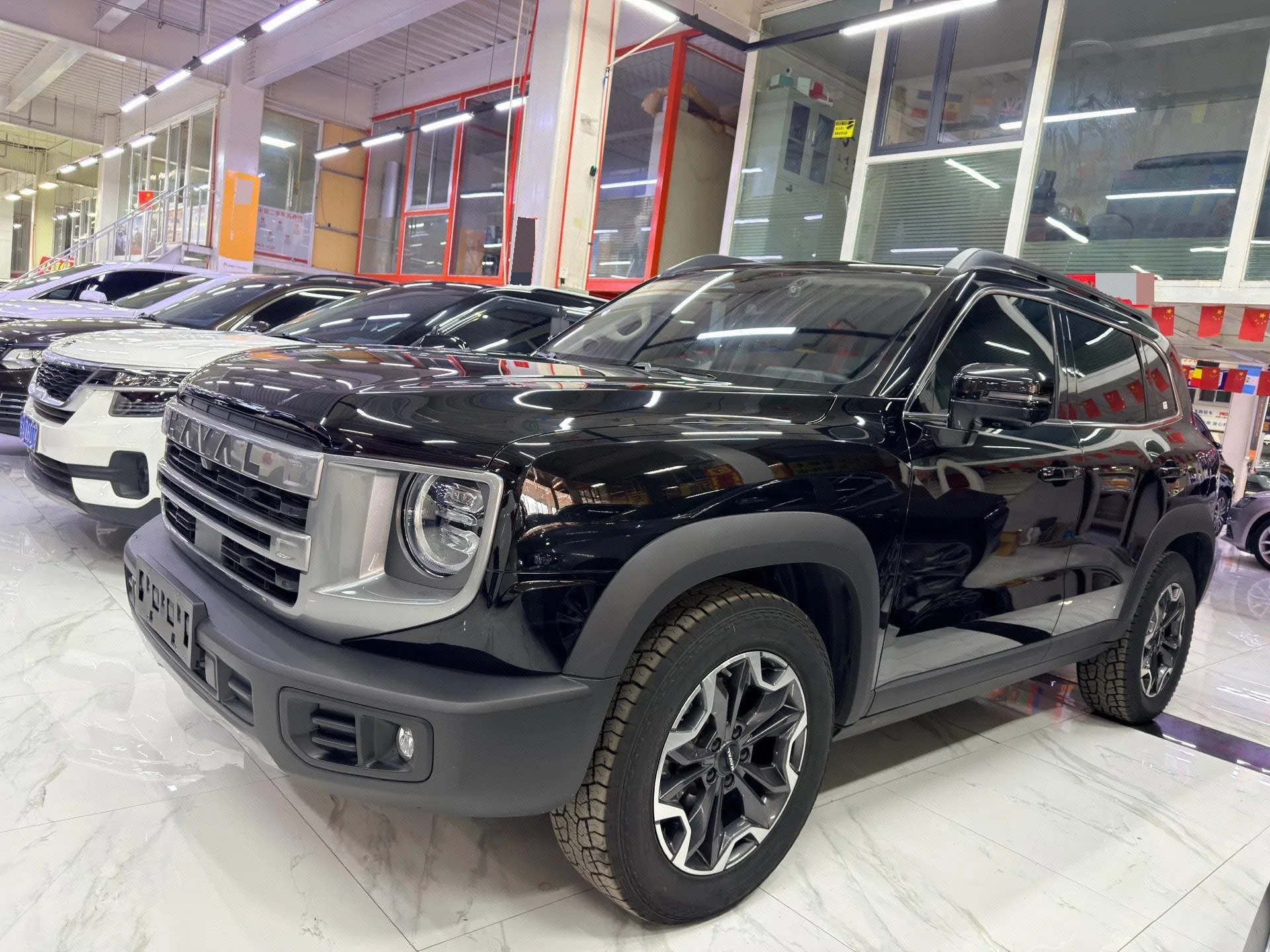 Haval 2024 Big Dog 2.0T Chinese Rural Dog Edition Automatic Transmission