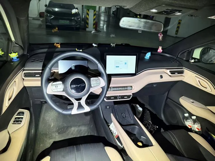 BYD 2023 Seagull Freedom Edition Automatic