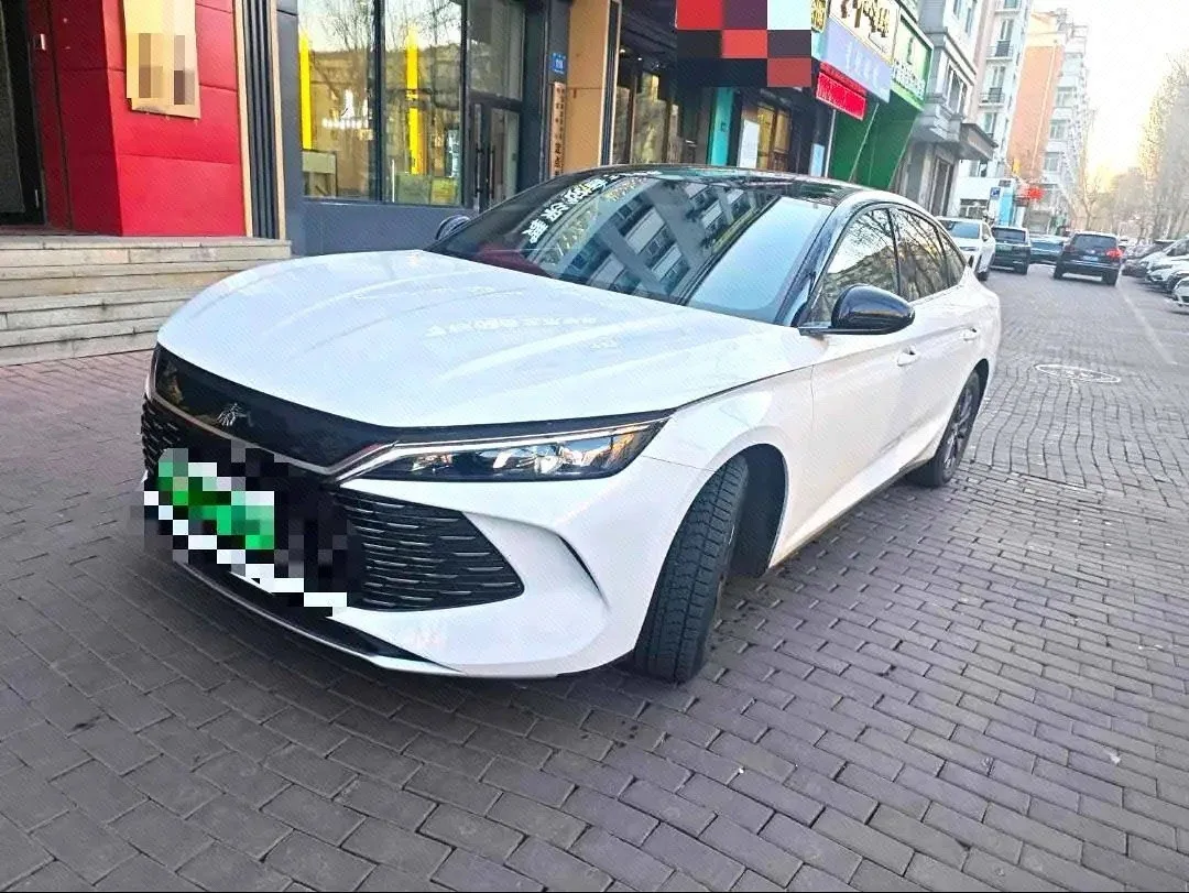 Qin L 2024 DM-i 80KM Leading Edition