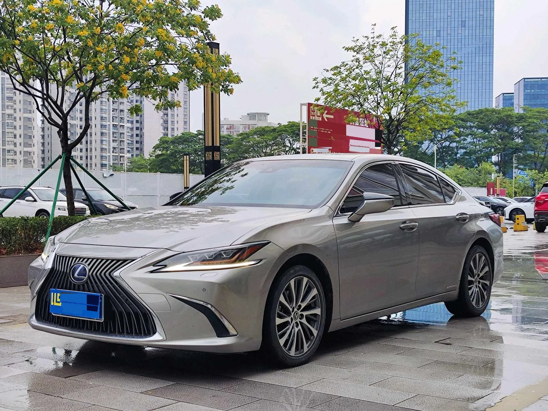 2021 Lexus ES 300h Premium Edition