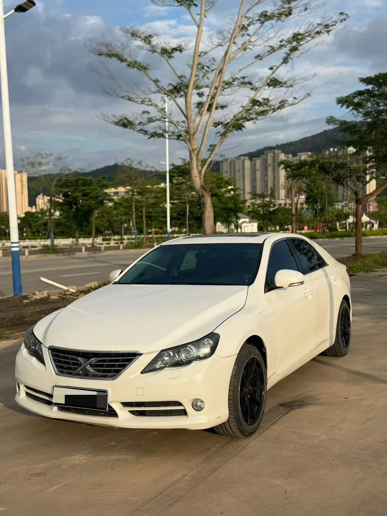 Reiz 2010 2.5V Fengdu Elite Edition