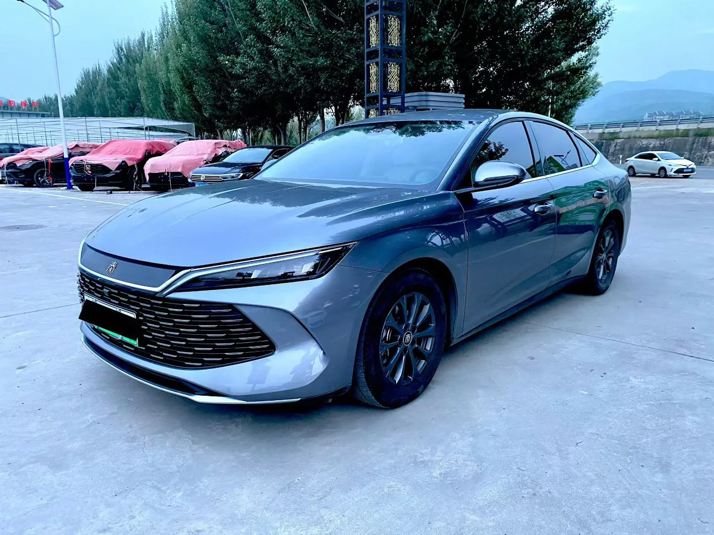 Qin L 2024 DM-i 80KM Leading Edition