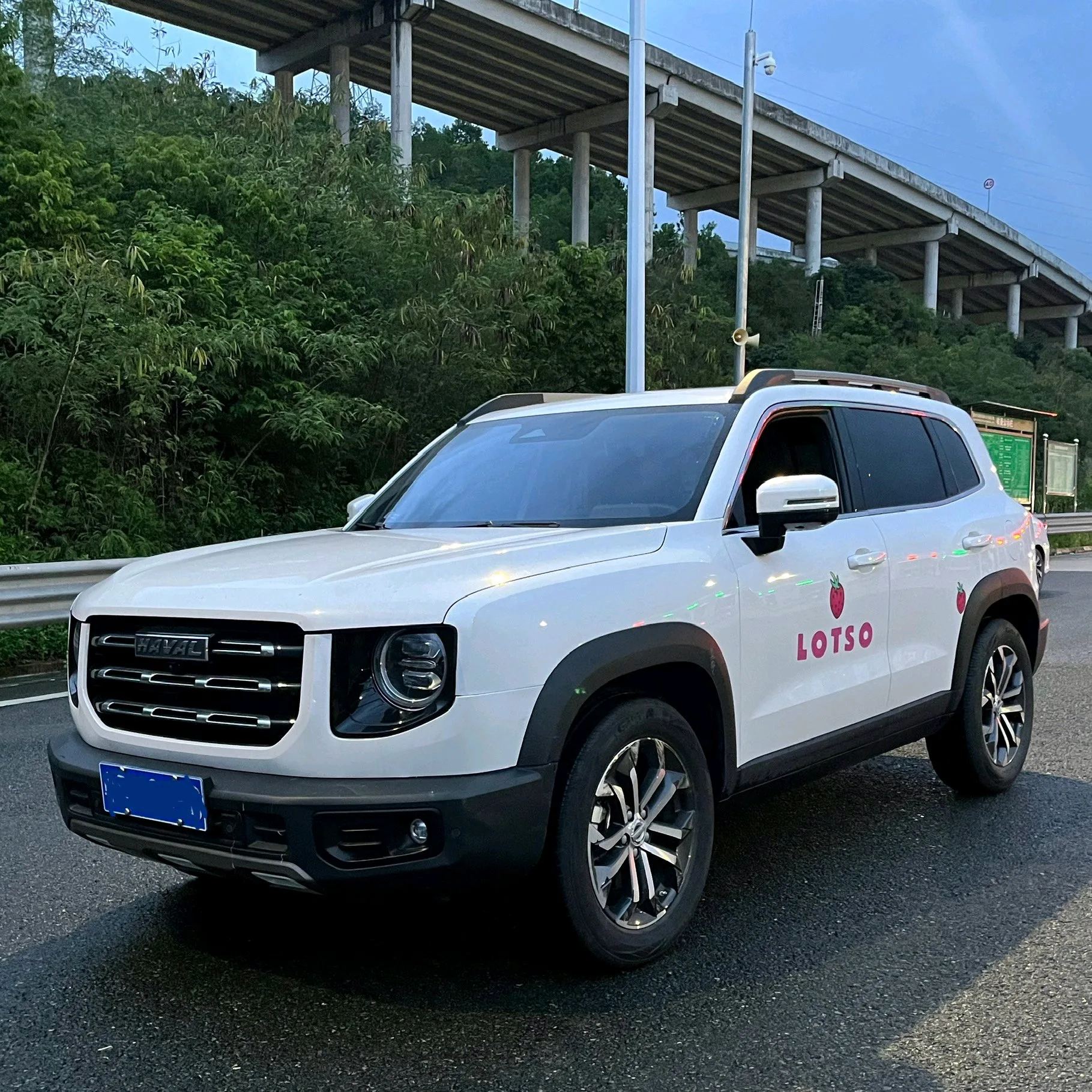Haval Big Dog 2022 1.5T DCT 2WD Border Collie Edition