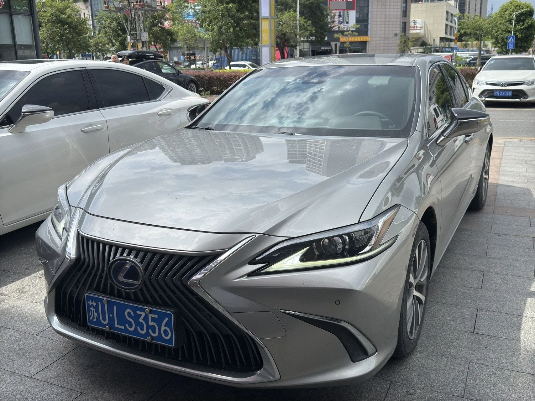 Lexus ES 2018 300h Premium Edition (China V Emission Standard)