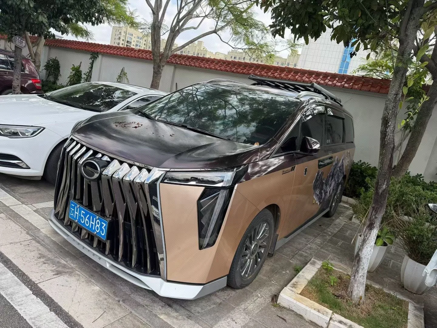 Trumpchi M8 2024 2.0TGDI High-Spec Version