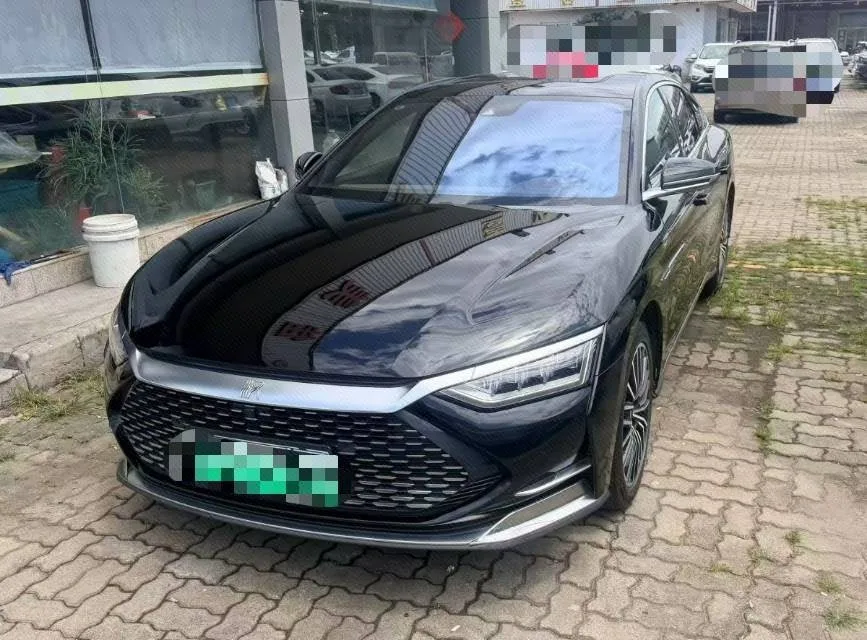 2020 Han DM 4WD Performance Luxury Edition