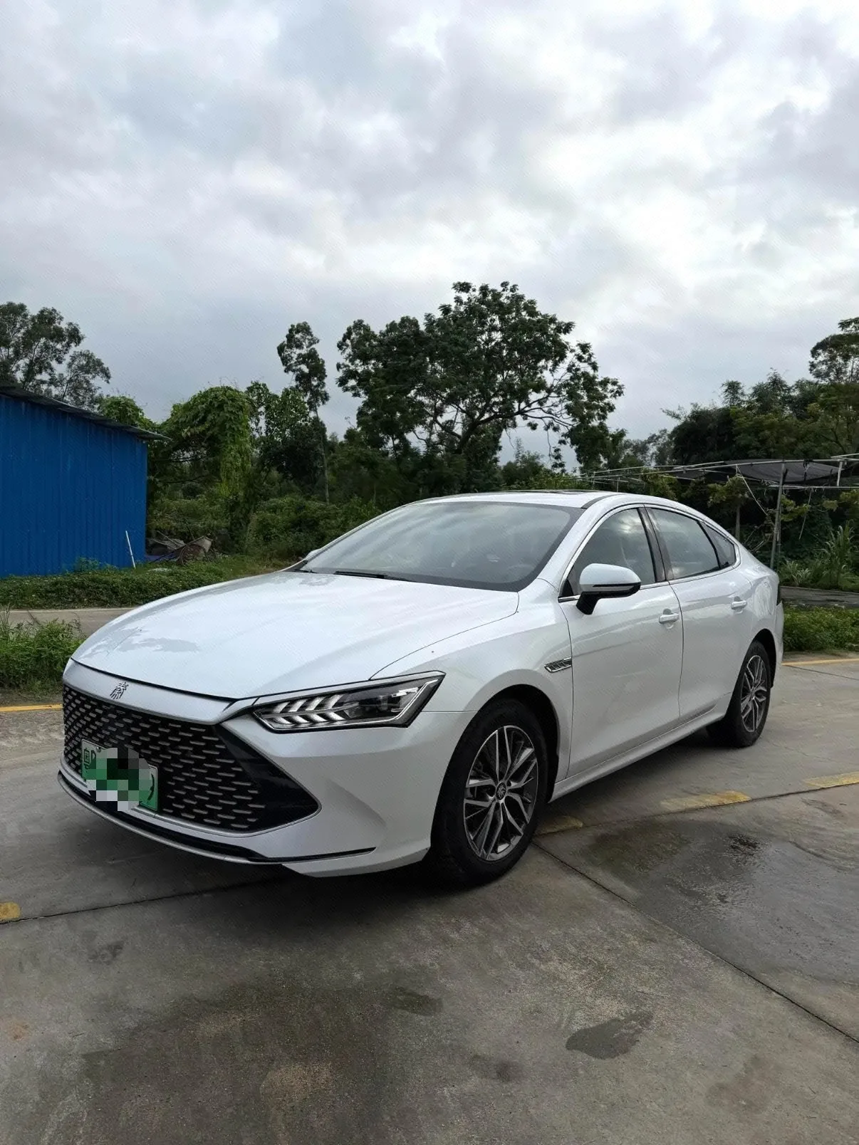 Qin PLUS 2021 DM-i 55KM Premium Edition
