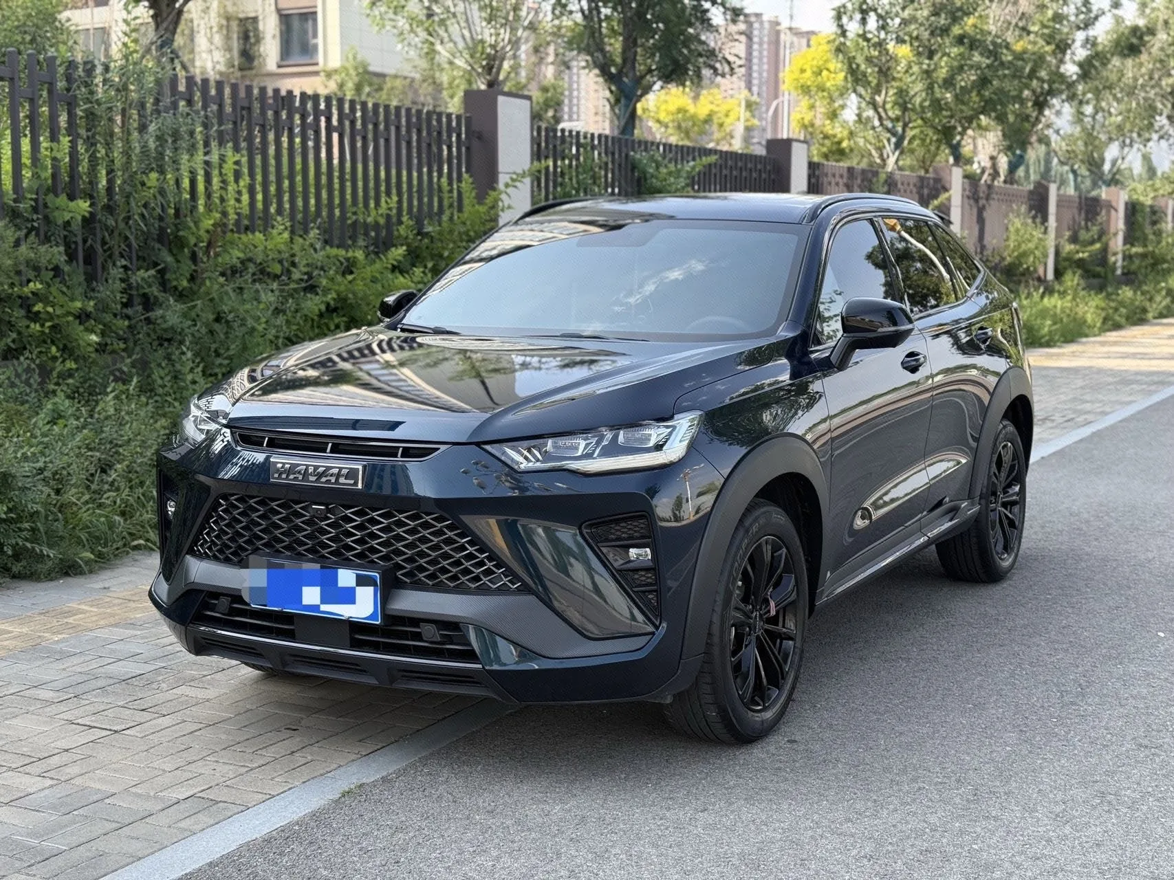 2022 Haval H6S 2.0T Front-Wheel Drive "Yuepao" Edition
