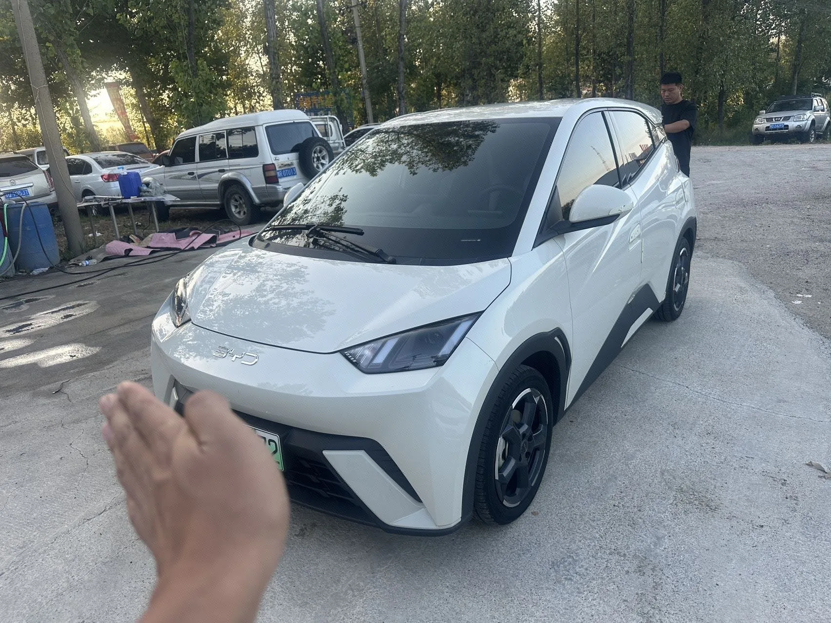 BYD 2024 Seagull Glory Edition 405km/h Flying Edition Automatic Transmission