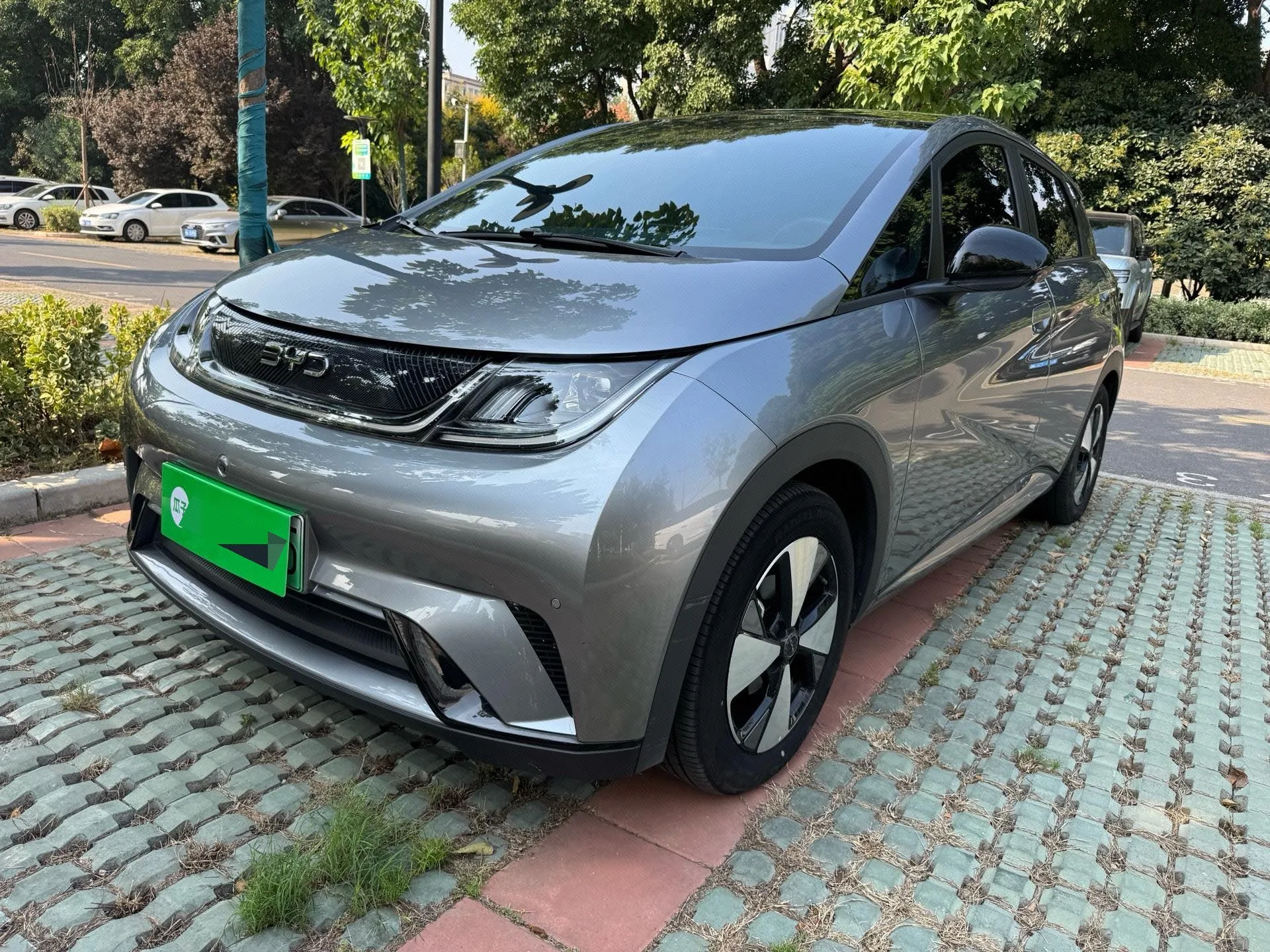 BYD 2023 Dolphin 420km Fashion Edition Automatic