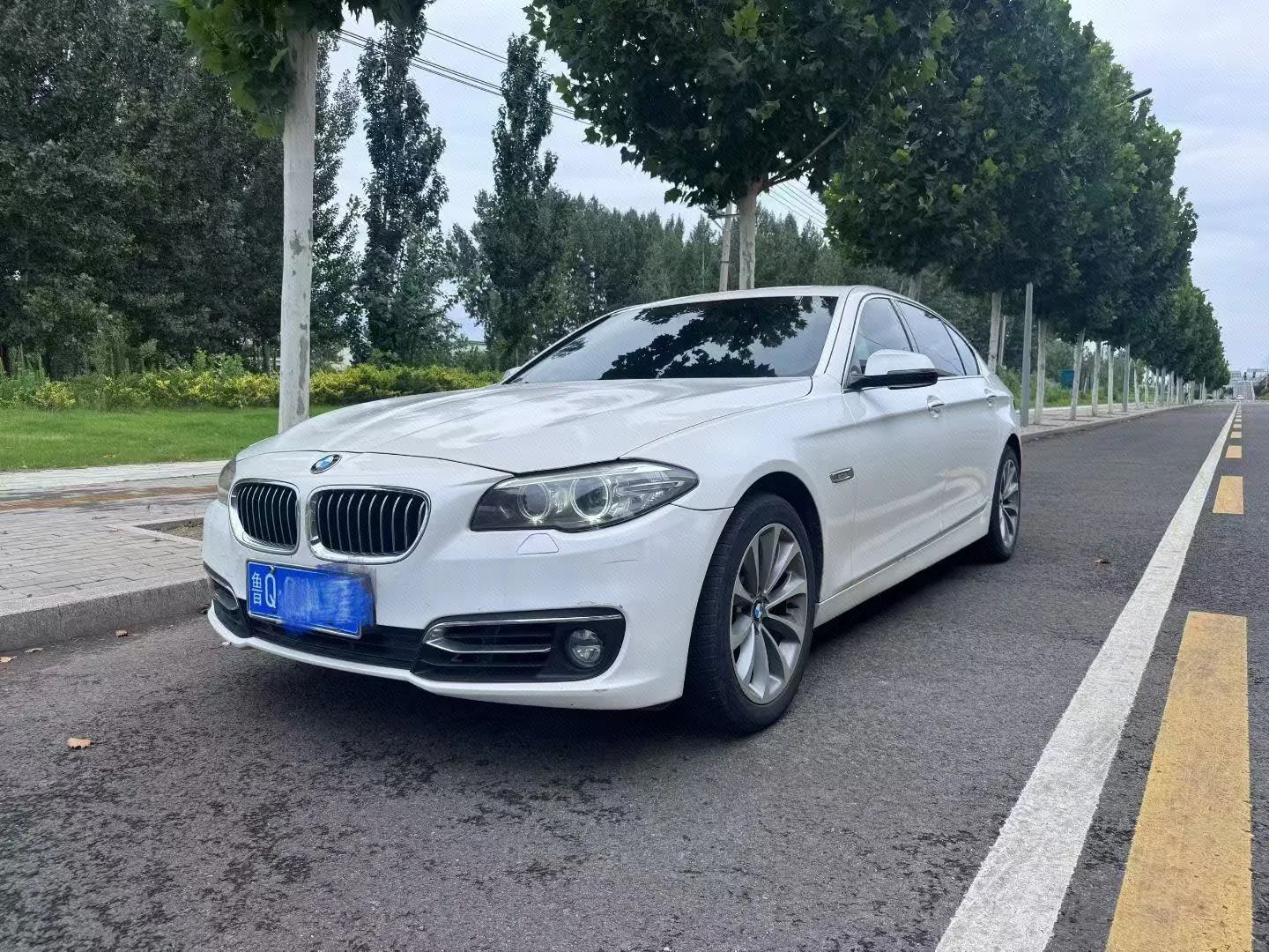 2014 BMW 5 Series 525Li Luxury Design Package