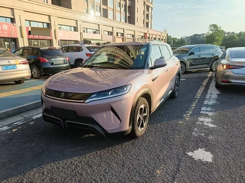 Yuan UP 2024 Model 401KM Leading Edition