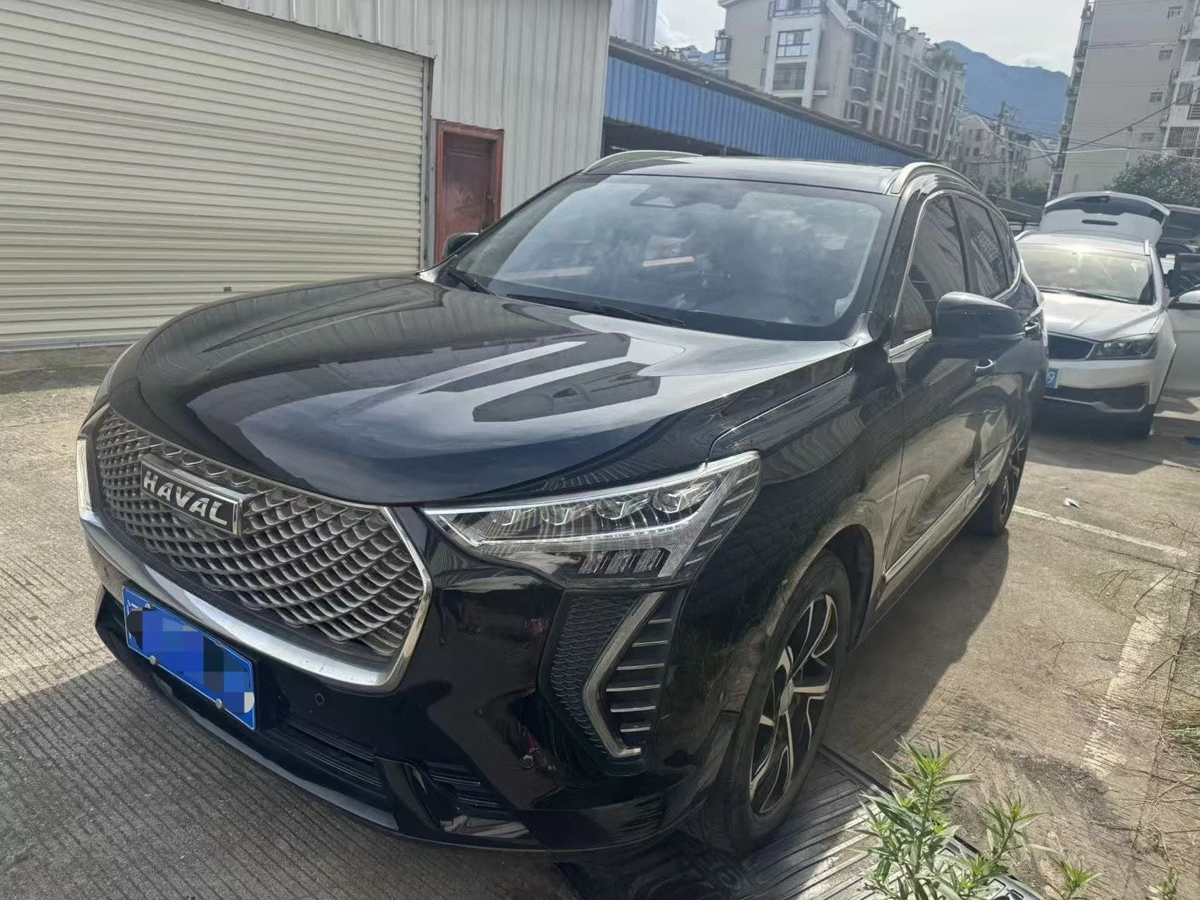 Haval First Love 2021 1.5T Automatic Large 4 Edition