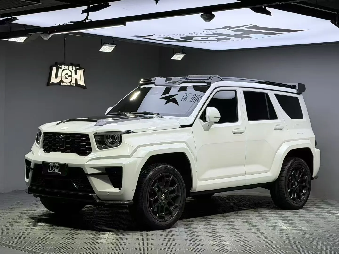 Tank 700 New Energy 2024 Hi4-T Launch Limited Edition