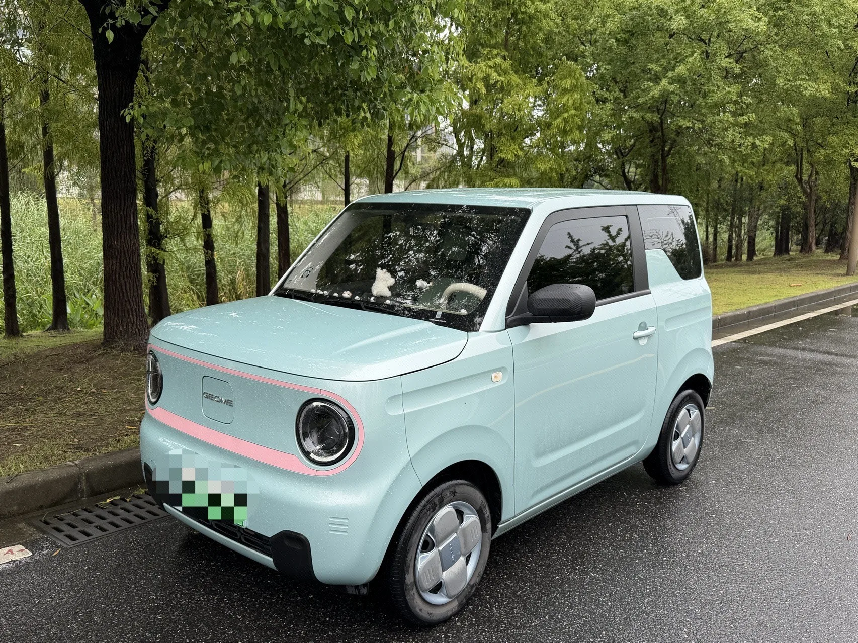 Panda 2024 Panda Mini 200km Endurance Bear