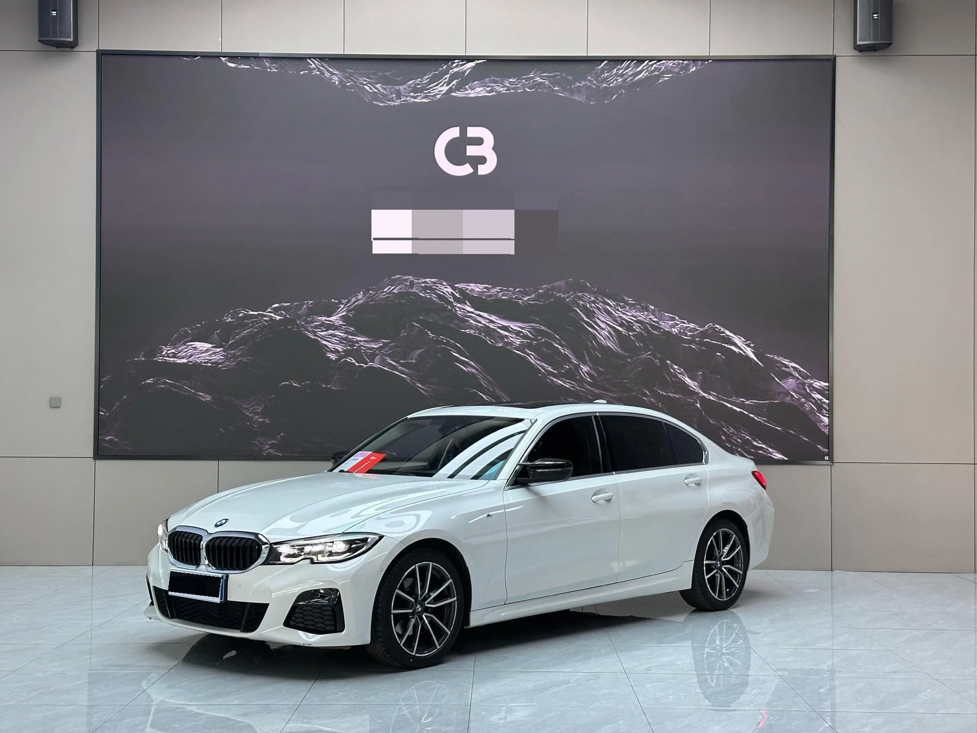 2020 BMW 3 Series 320Li M Sport Package