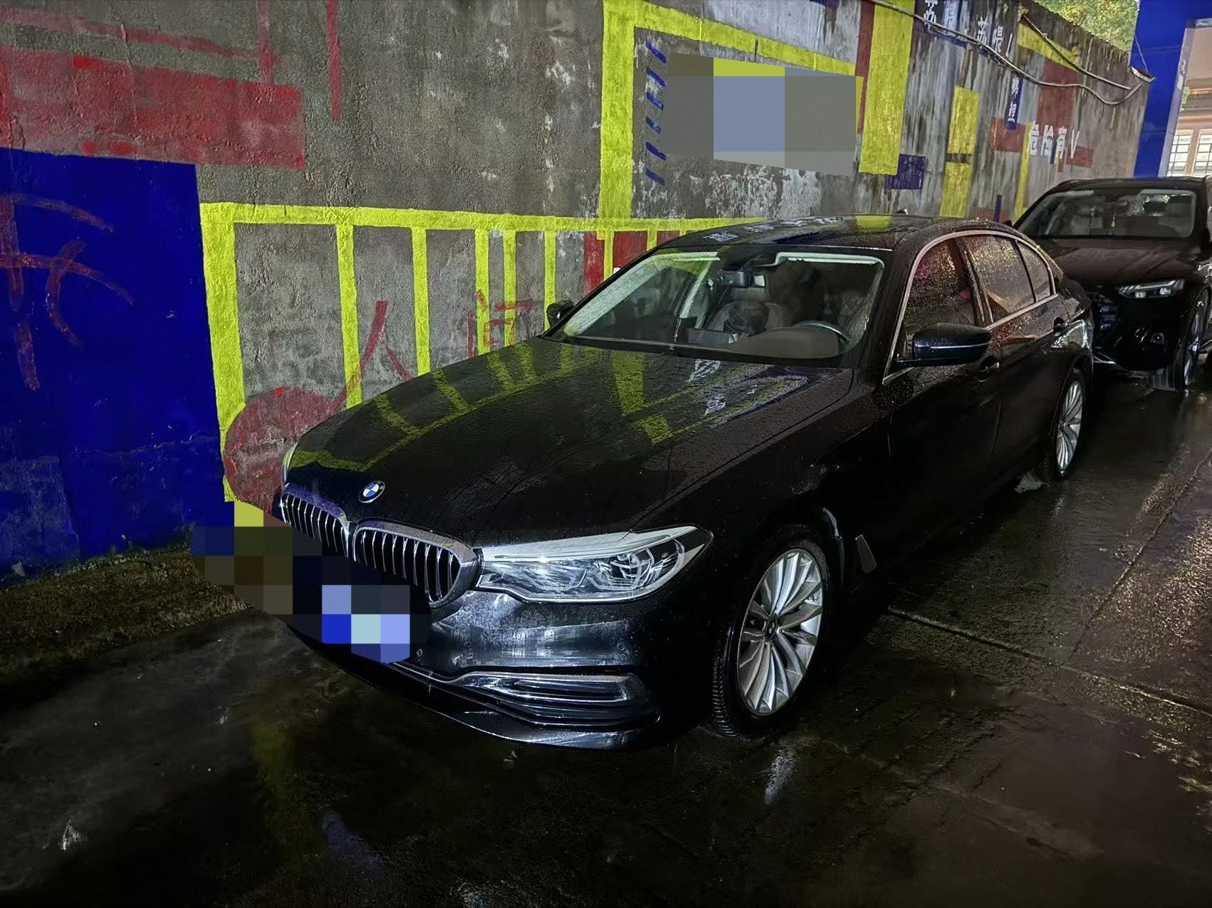 BMW 5 Series 2020 530Li Leading Luxury Package