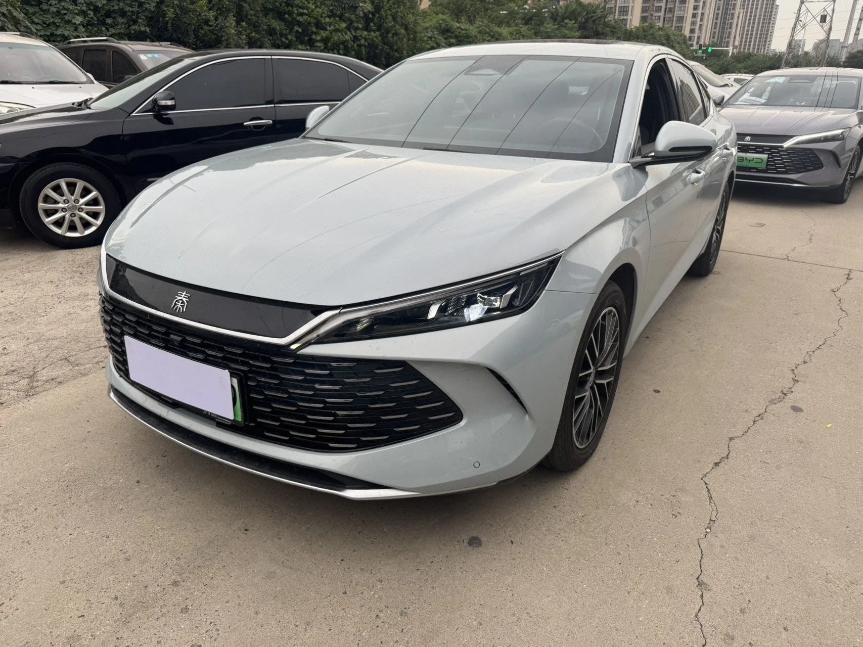 Qin L 2024 DM-i 120KM Excellent Edition