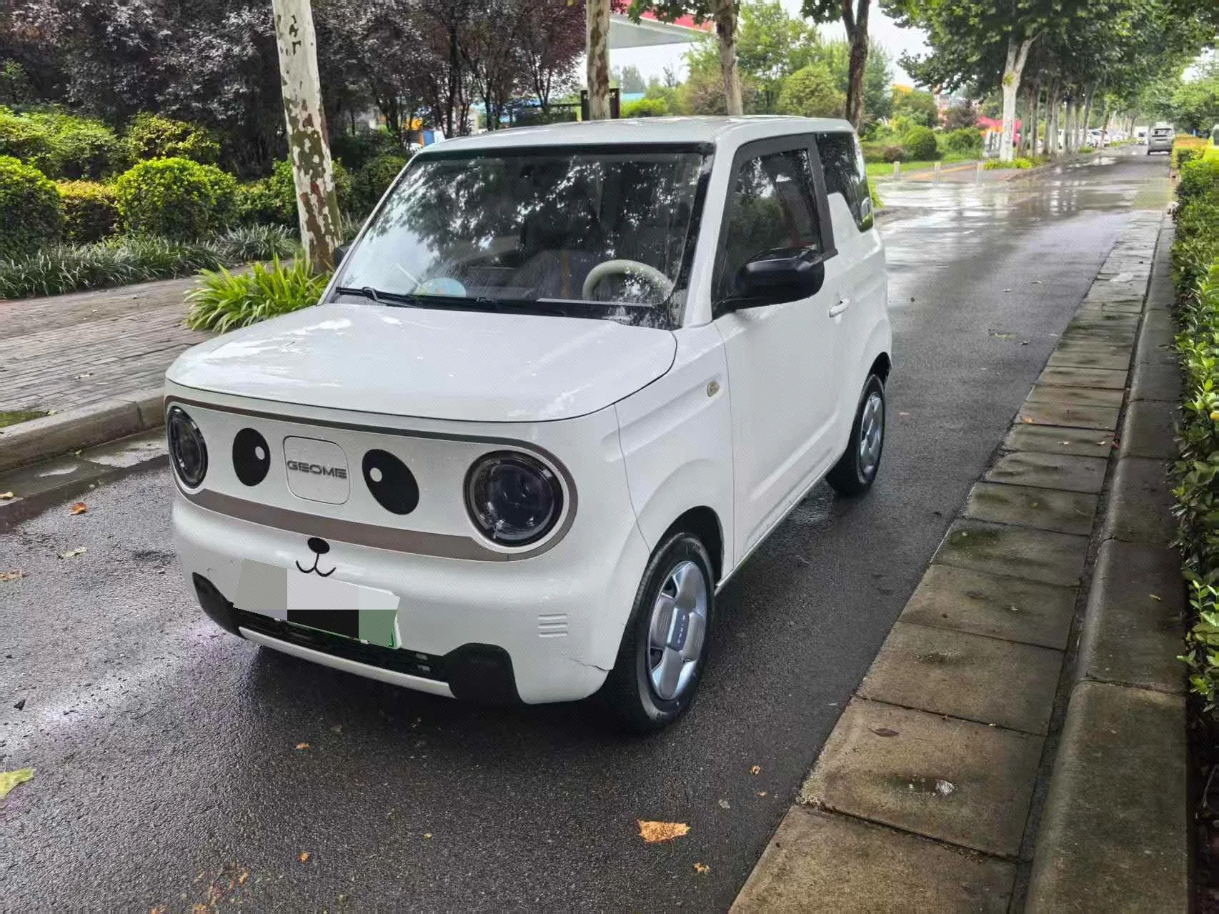 Panda 2023 Model Panda Mini 120 km Cute Bear