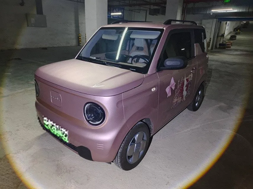 Panda 2024 Model Year Panda Mini 200 km Longteng PRO Edition