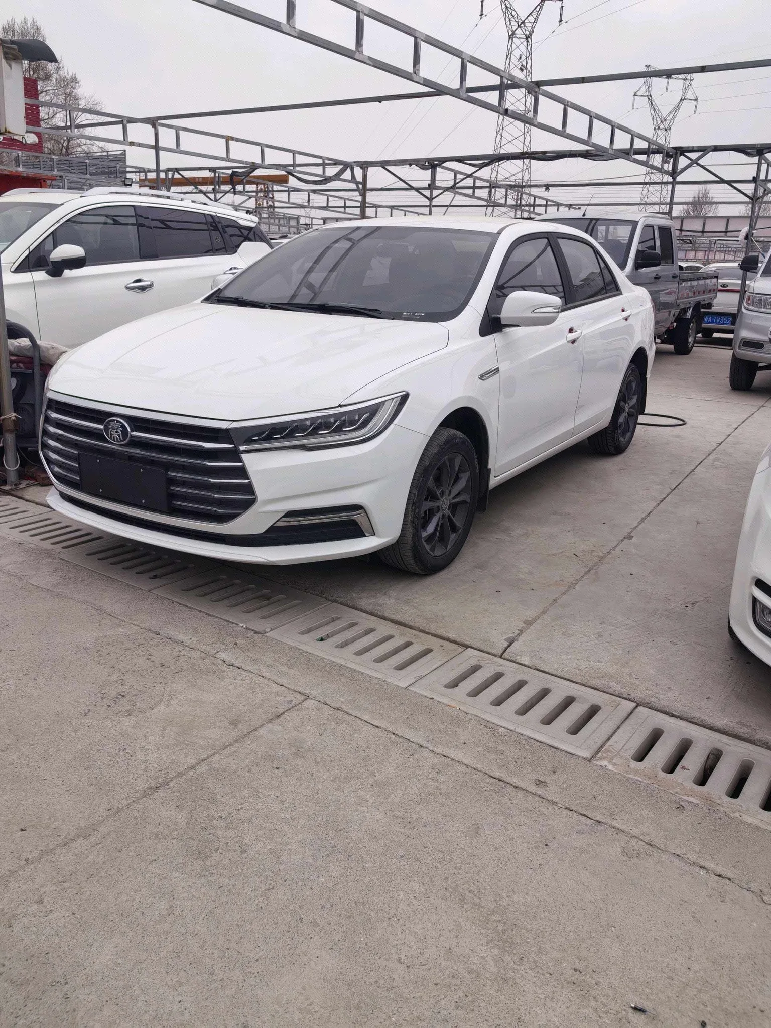 Qin 2019 1.5L Automatic Premium Edition