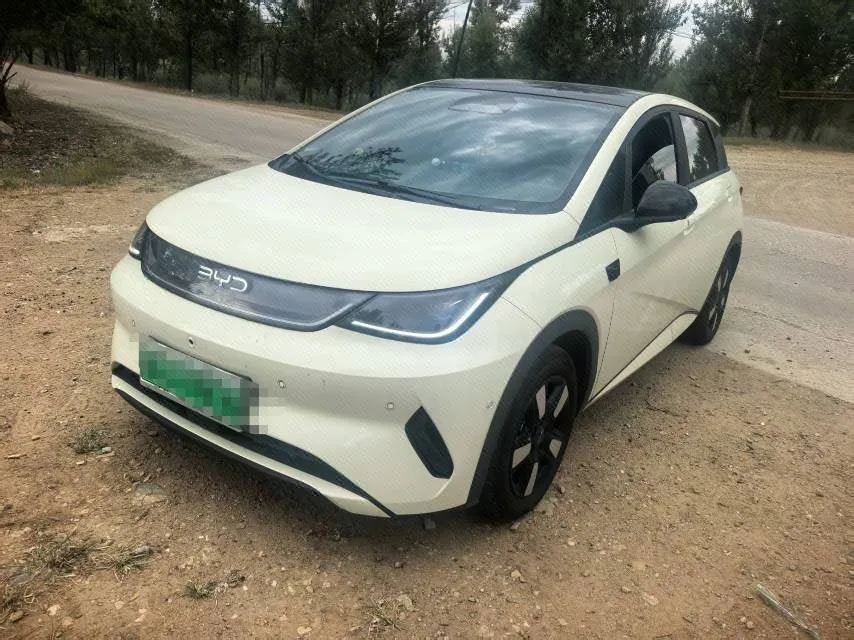 BYD 2025 Dolphin Smart Driving Edition 410km Fashion Edition Automatic