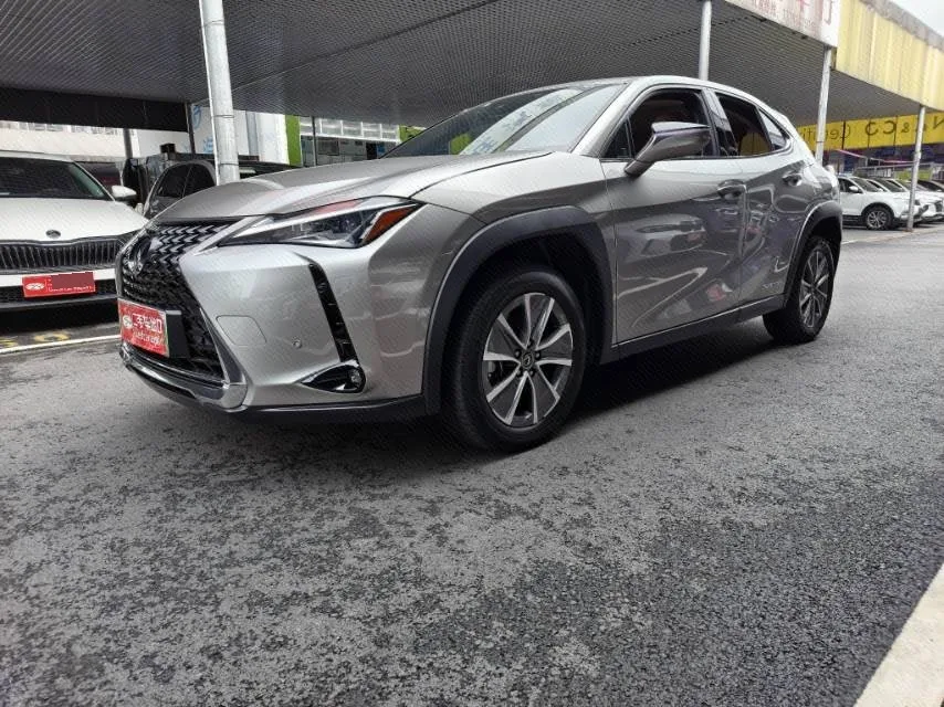 2020 Lexus UX Hybrid 300e Pure·Joy Edition