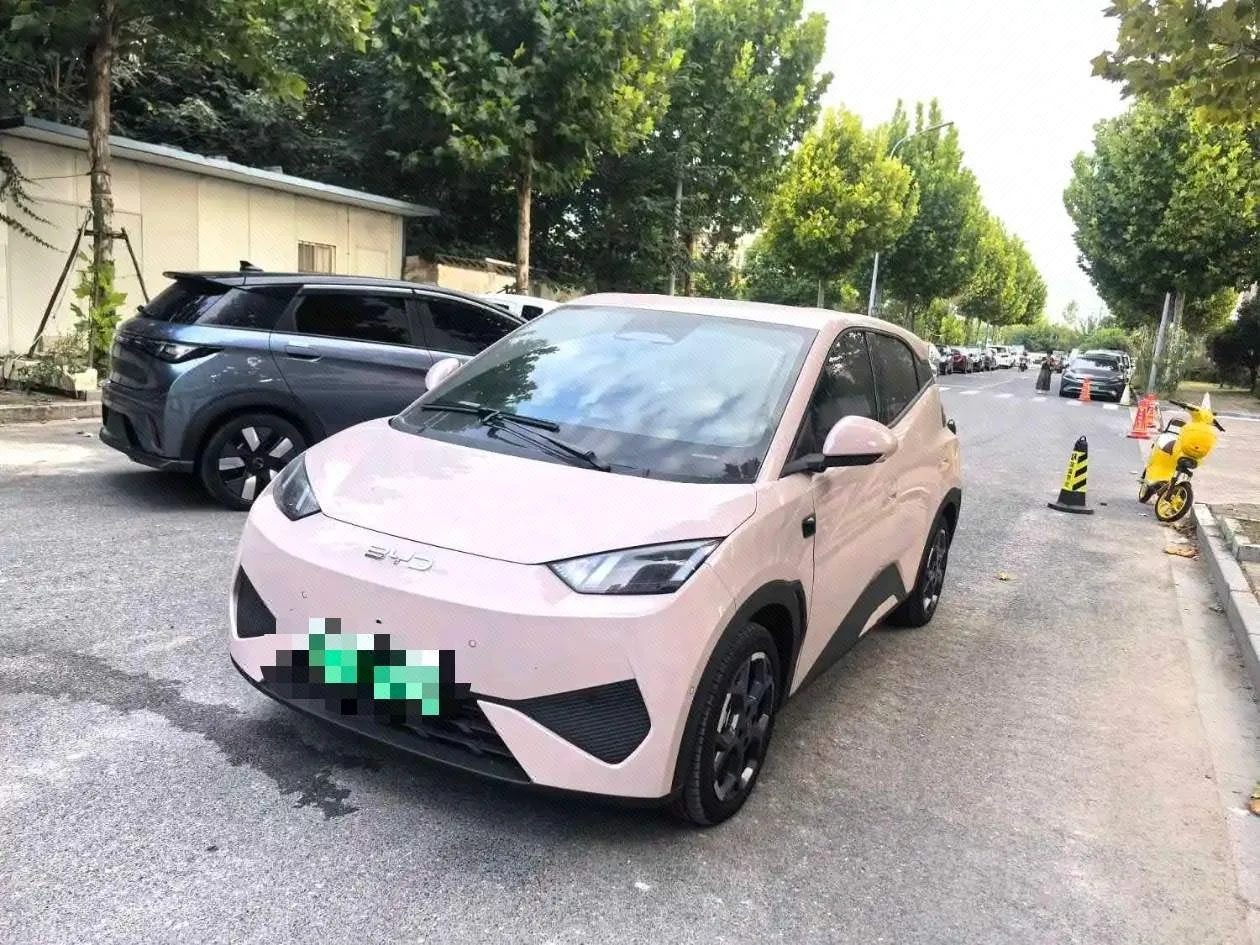 BYD 2025 Seagull Smart Driving Edition 305km Freedom Edition Automatic Transmission