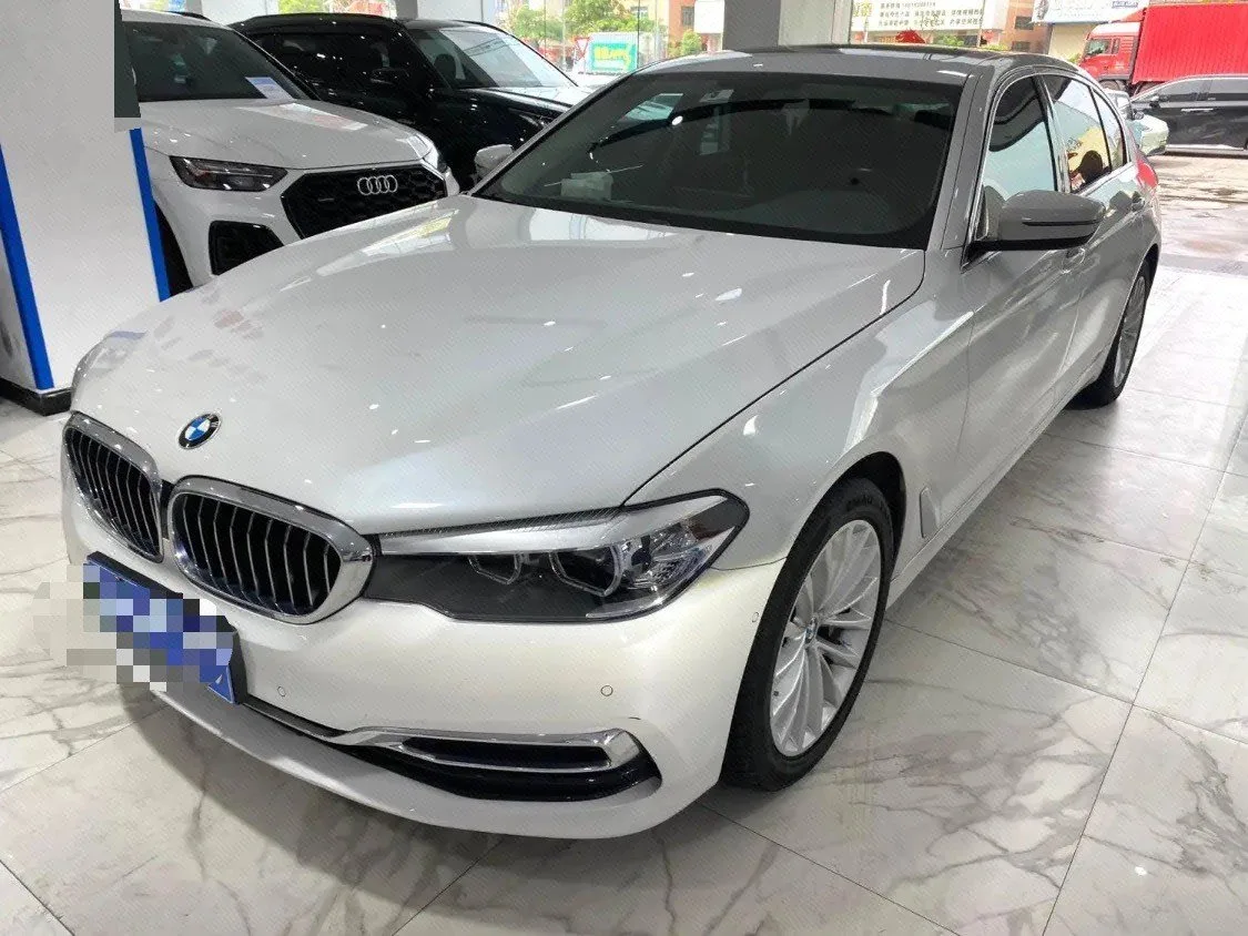BMW 5 Series 2019 530Li Leading Luxury Package