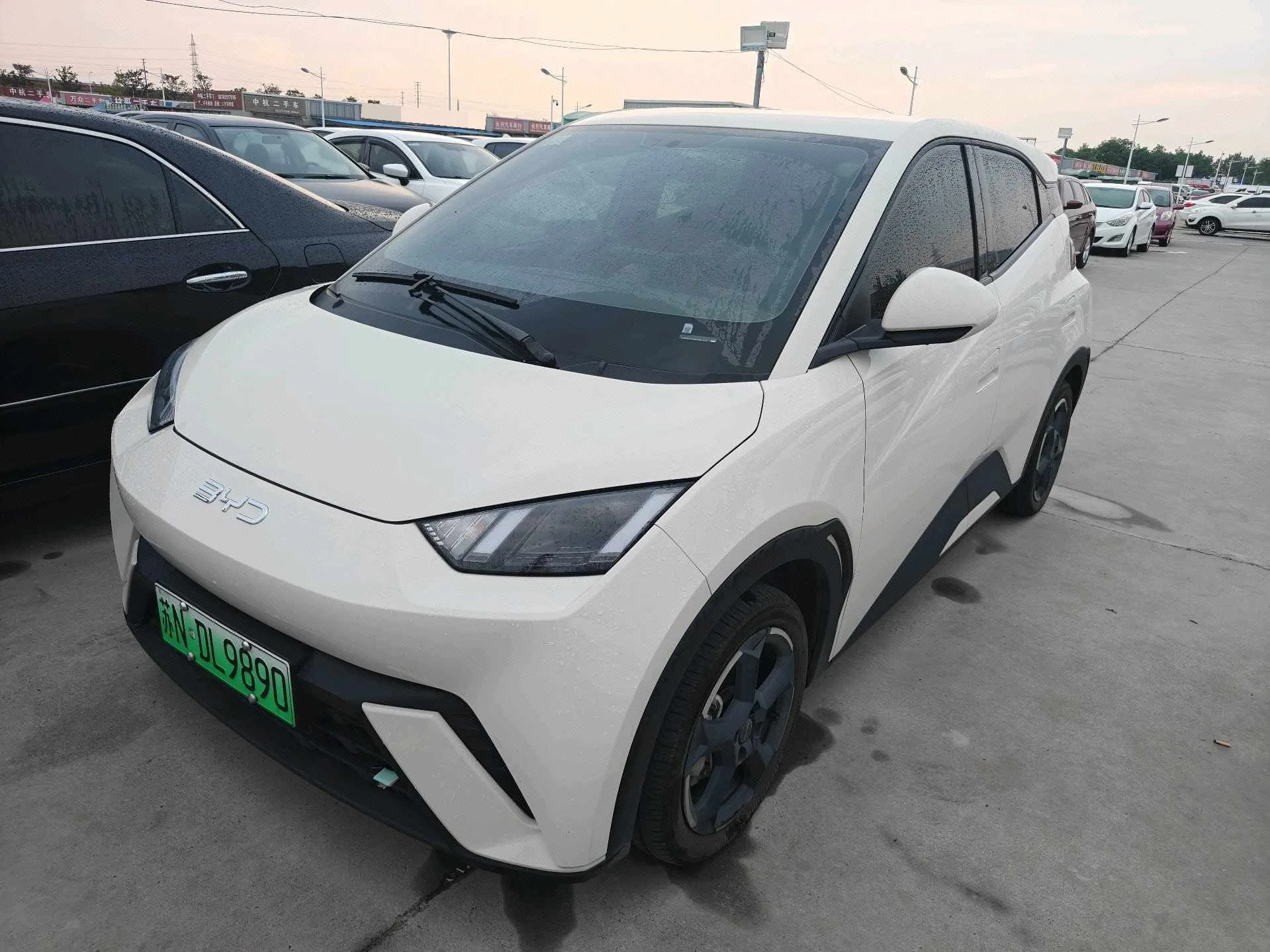 BYD 2024 Seagull Glory Edition 305km/h Freedom Edition Automatic Transmission