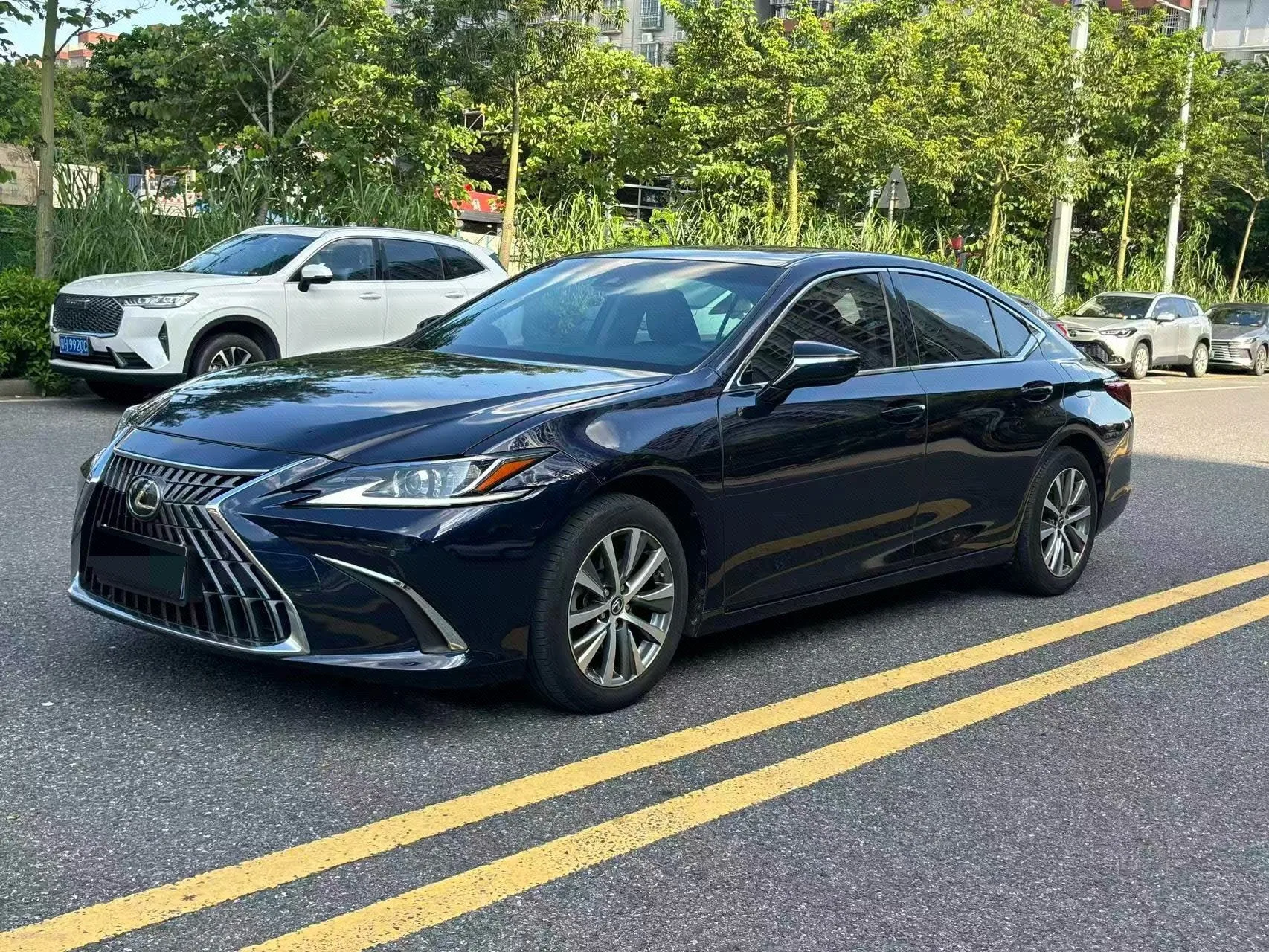Lexus ES 2018 200 Premium Edition (China V Emission Standard)