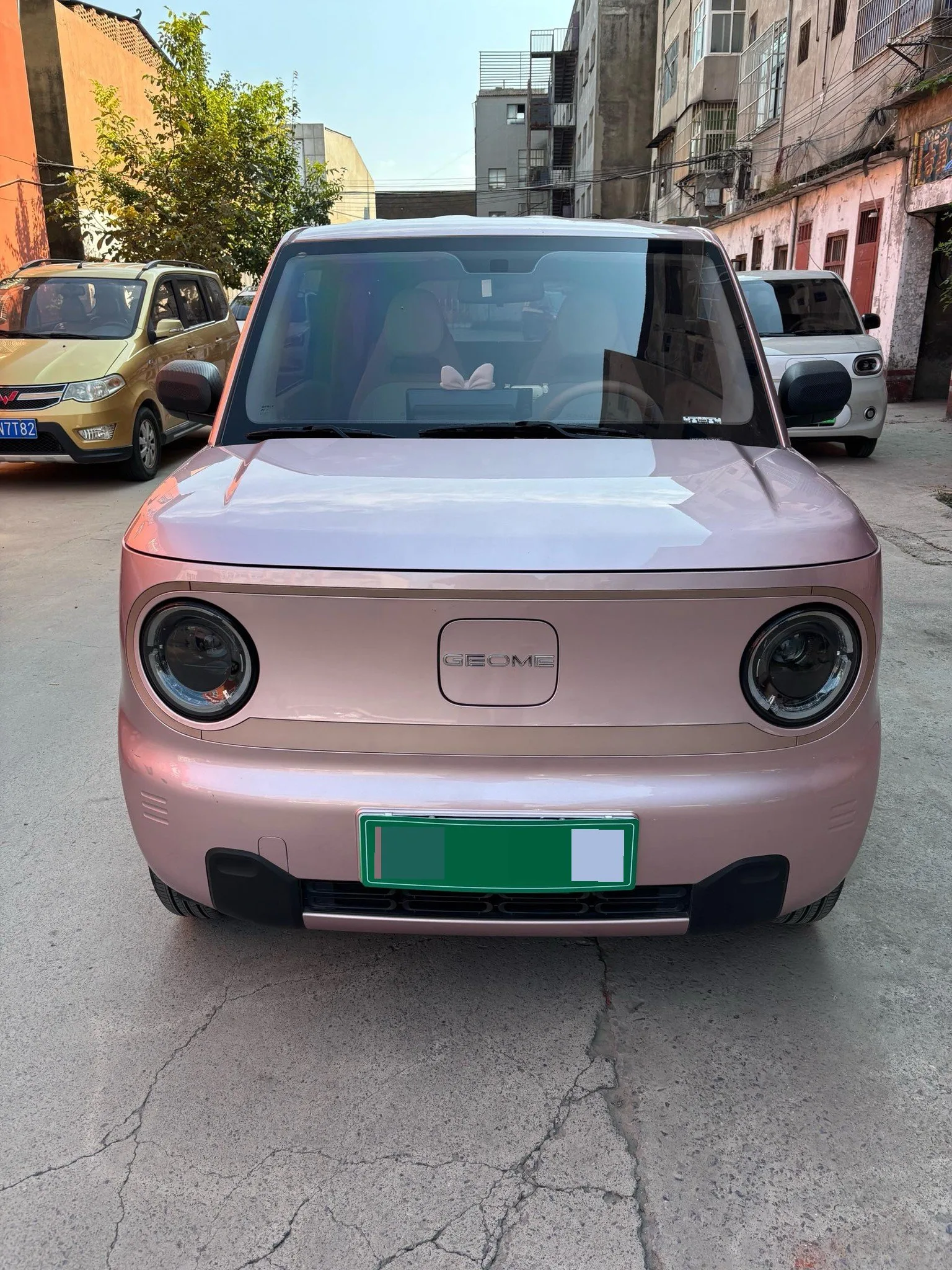 Panda 2023 Panda Mini 200km Endurance Bear