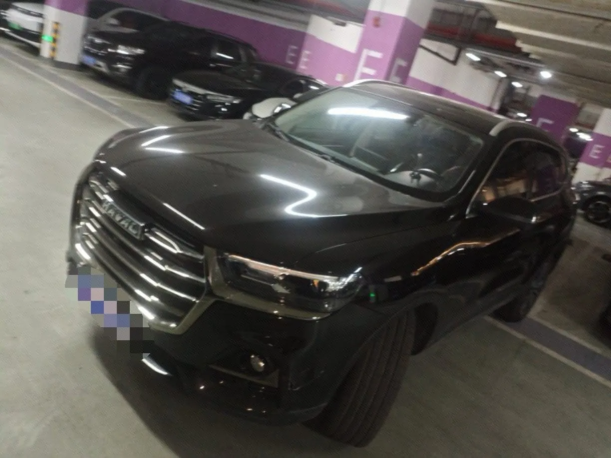 2021 Haval H6 "Guochao" Edition 1.5GDIT Automatic Super Luxury Edition