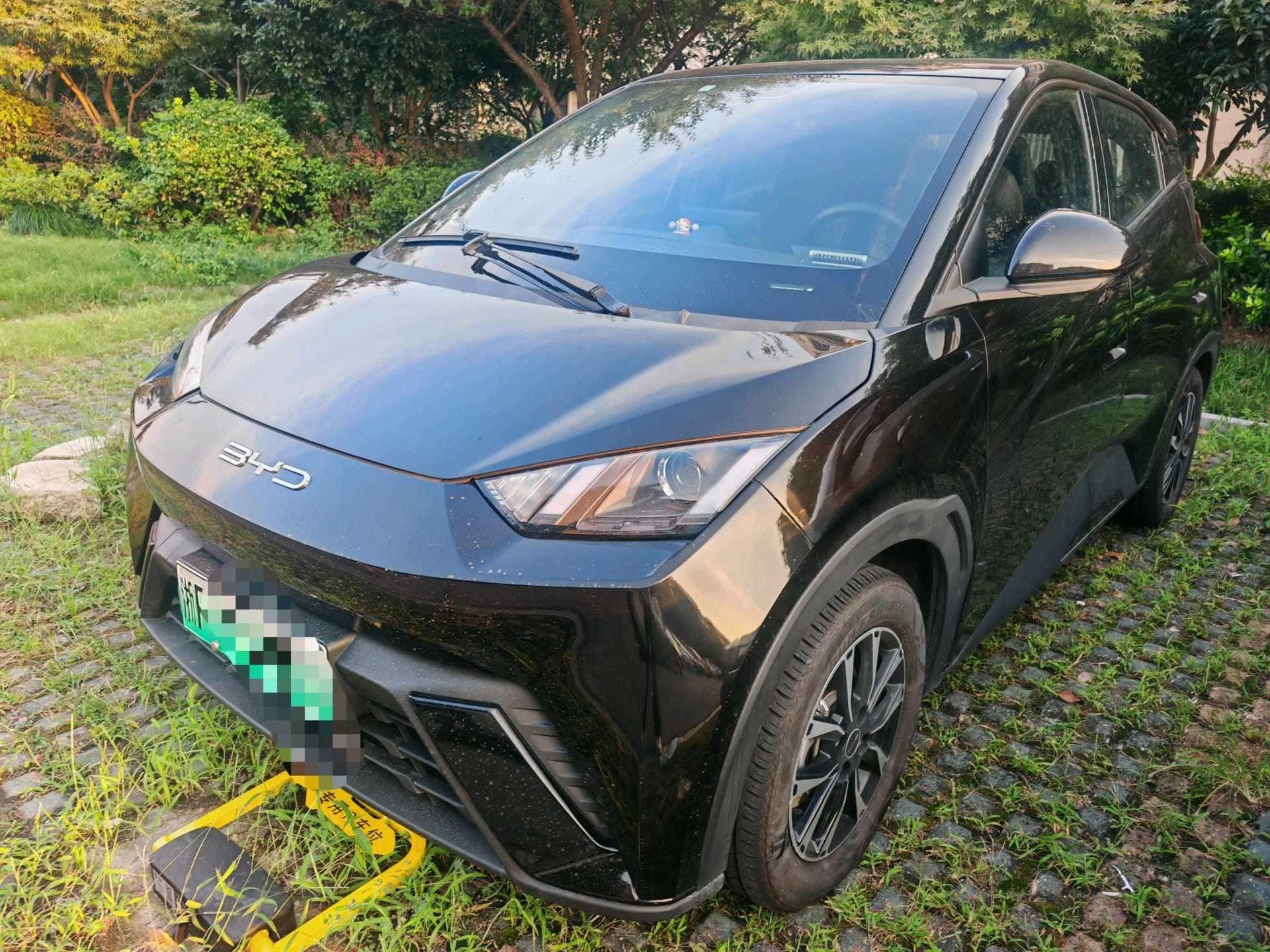 BYD 2024 Seagull Glory Edition 305km/h Vitality Edition Automatic