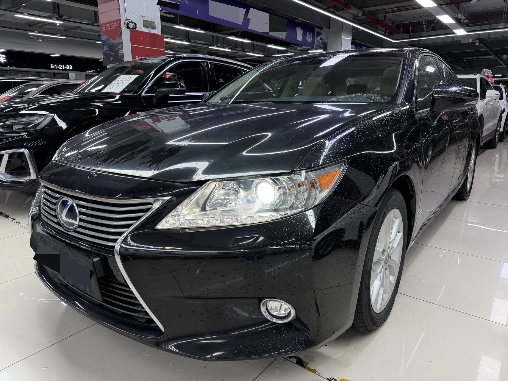 2013 Lexus ES 300h Elite