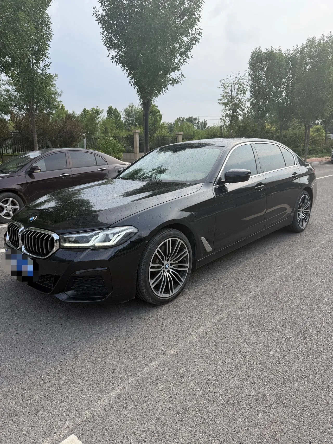 BMW 5 Series 2020 530Li Leading Luxury Package
